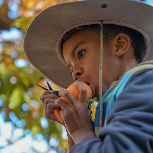 Black Farmers Cultivating Change