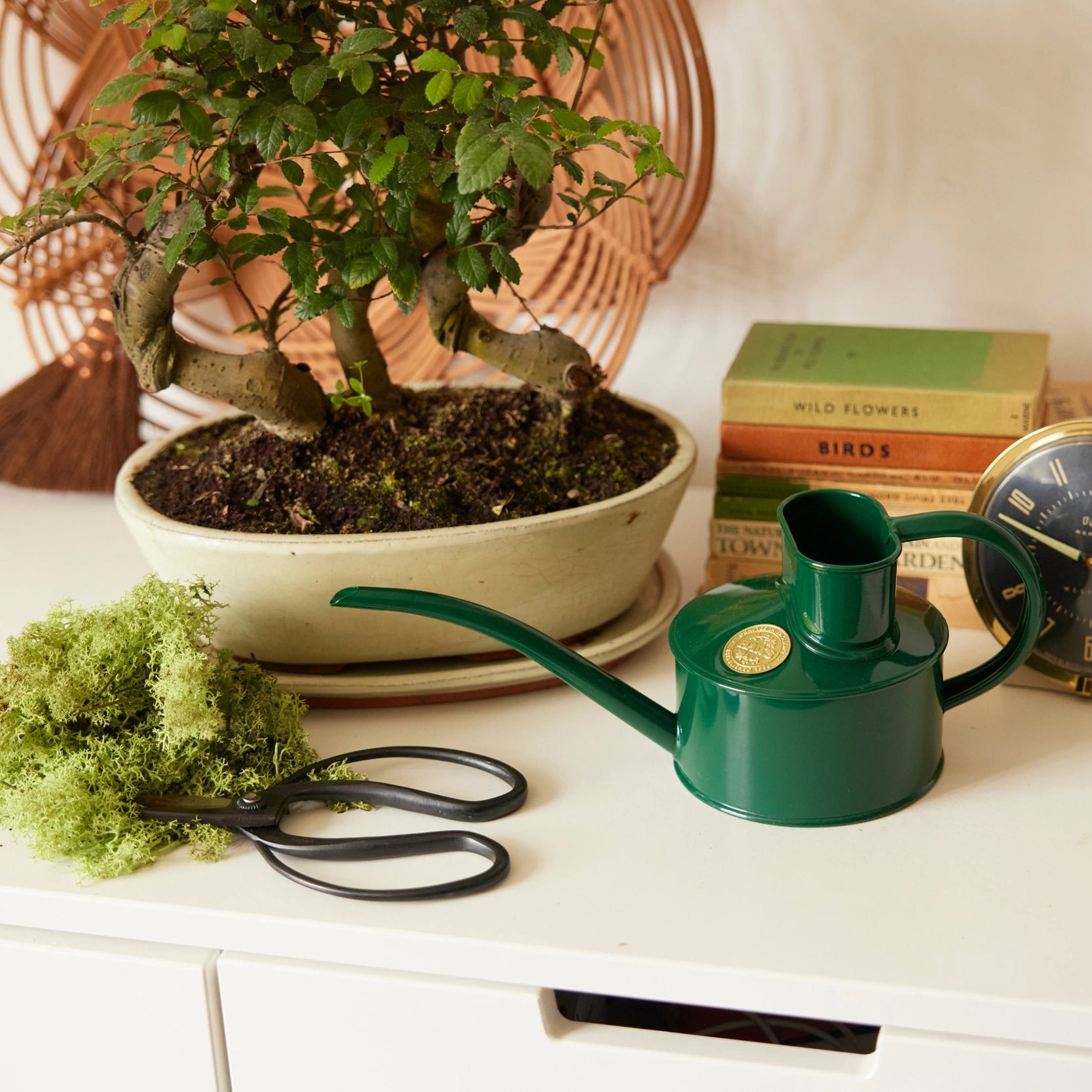 Goodee-Haws-The Fazeley Flow (One Pint) - Color - Green