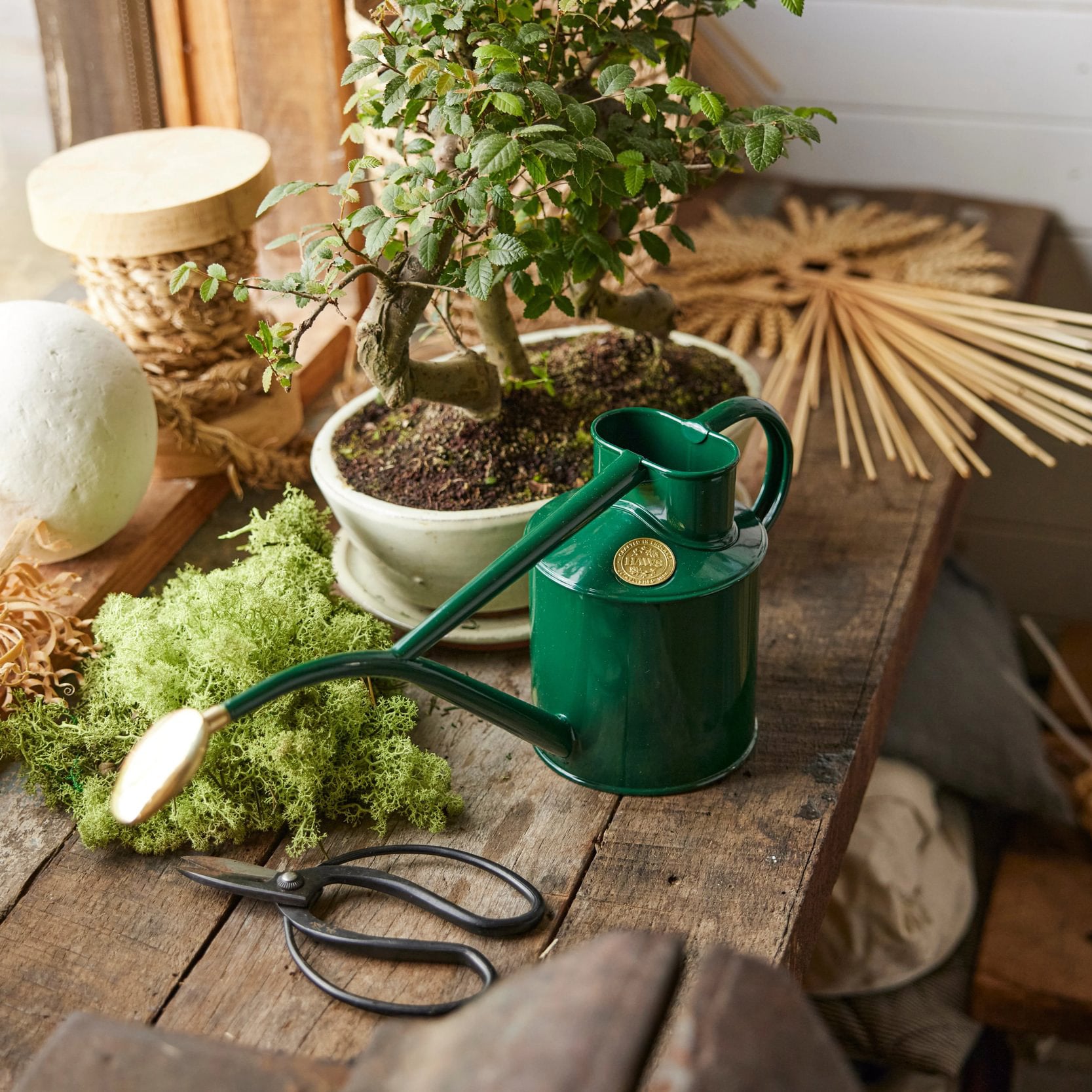 Goodee-Haws-The Rowley Ripple (Two Pint) - Color - Green