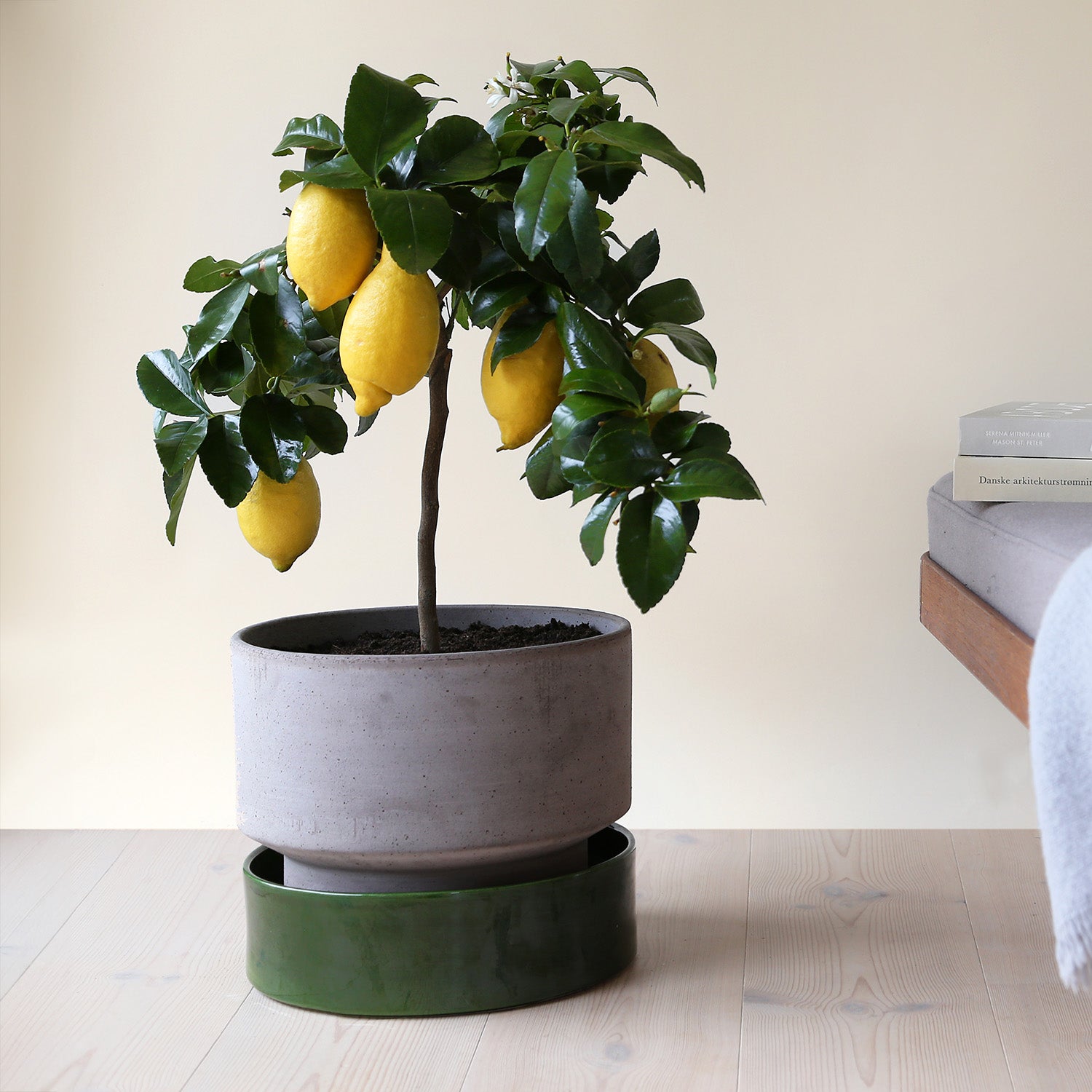 Goodee-Bergs Potter-Hoff Ø30 Planter - Color - Raw Grey