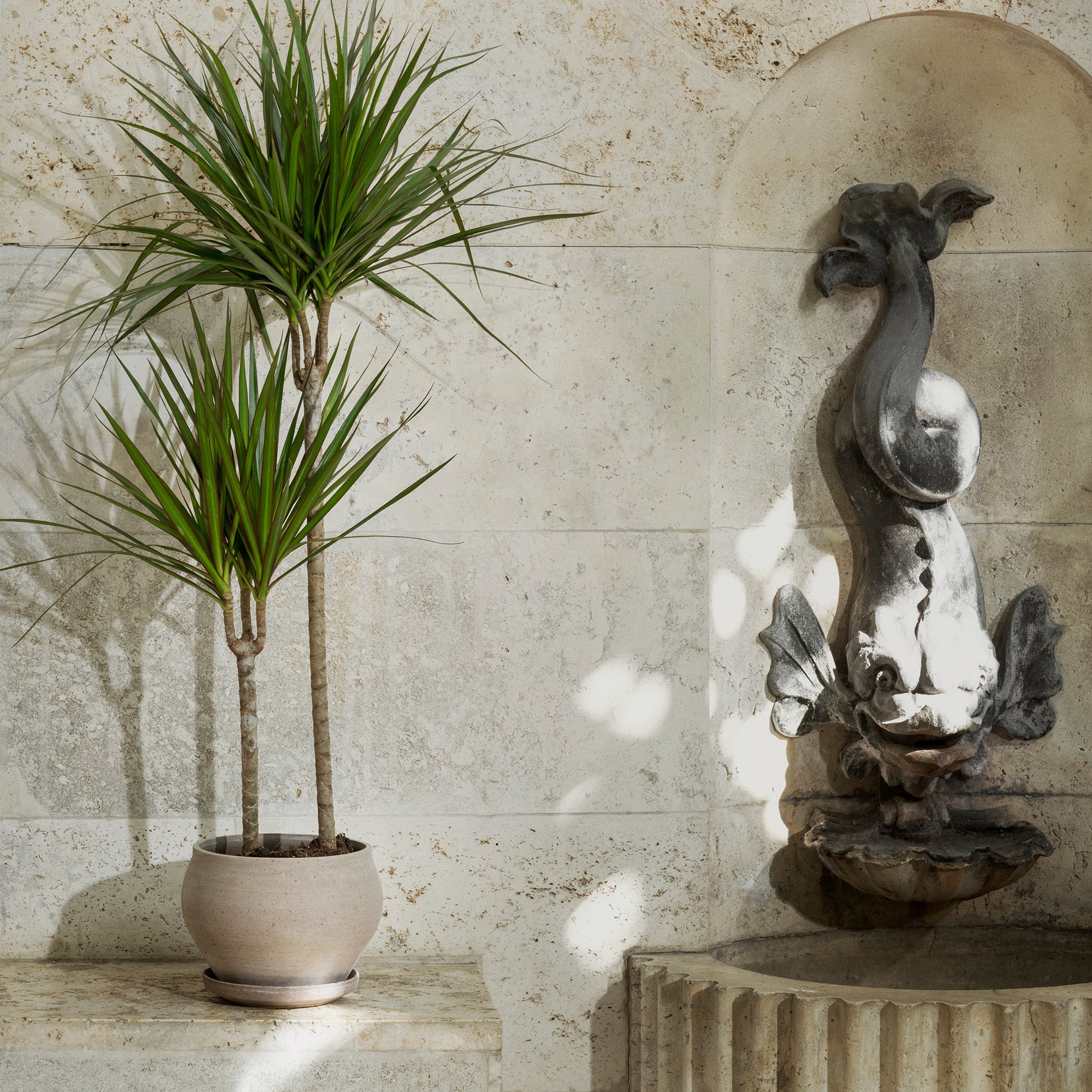 Jardinière basse et soucoupe Goodee Potter-Delphi Ø24 - Couleur : Gris brut