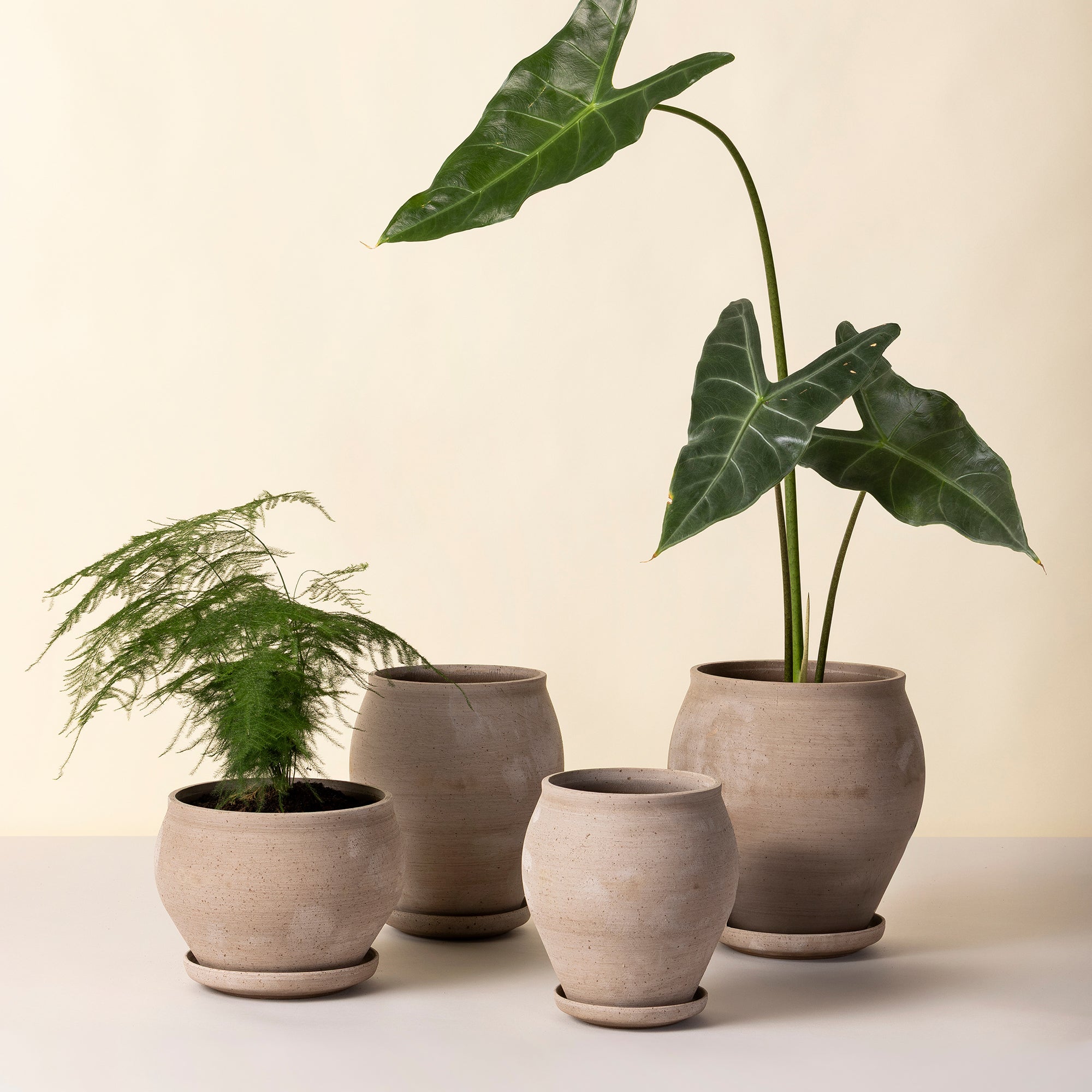 Goodee-Bergs Potter-Delphi Planter & Saucer - Color - Raw Grey