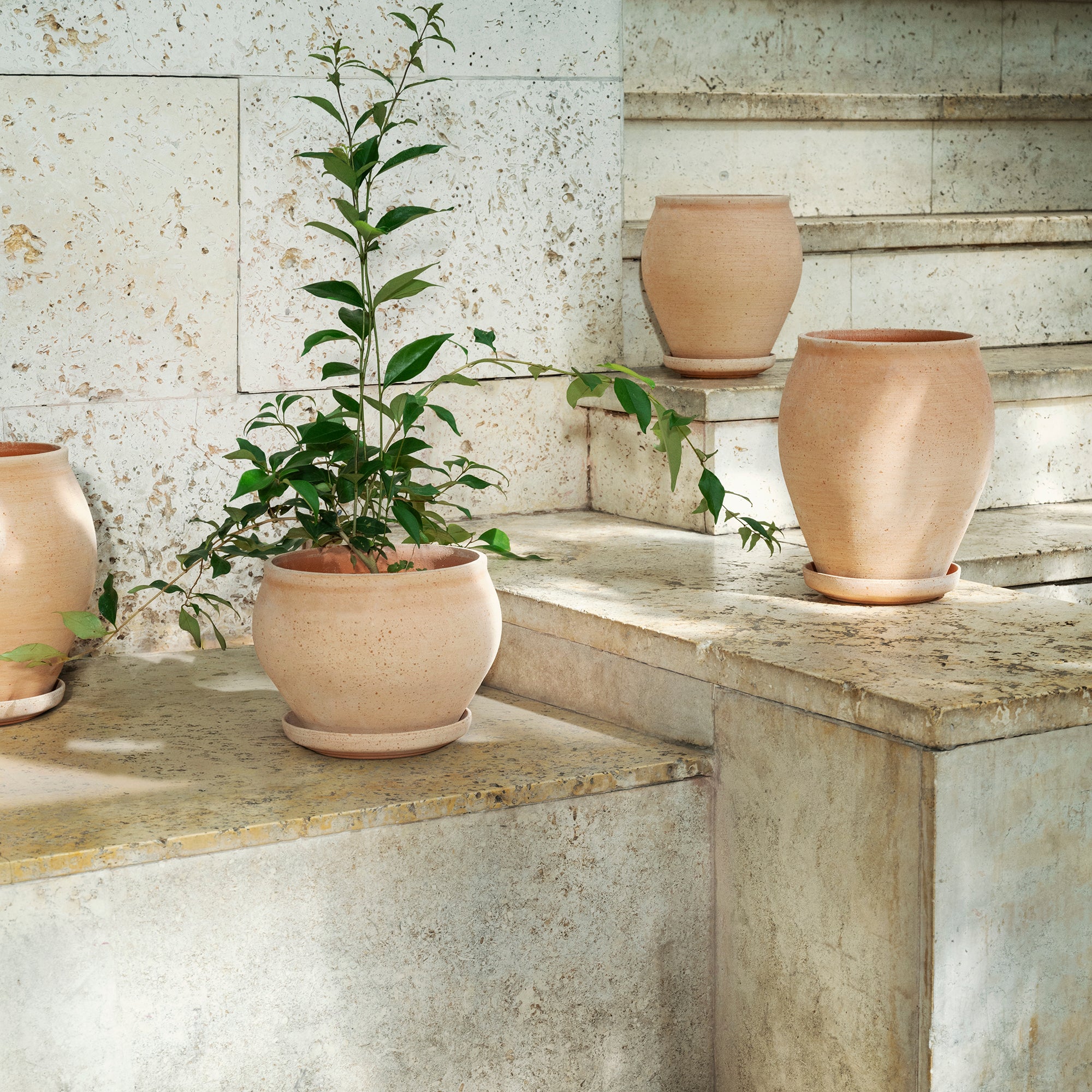Goodee-Bergs Potter-Delphi Planter & Saucer - Color - Raw Rosa