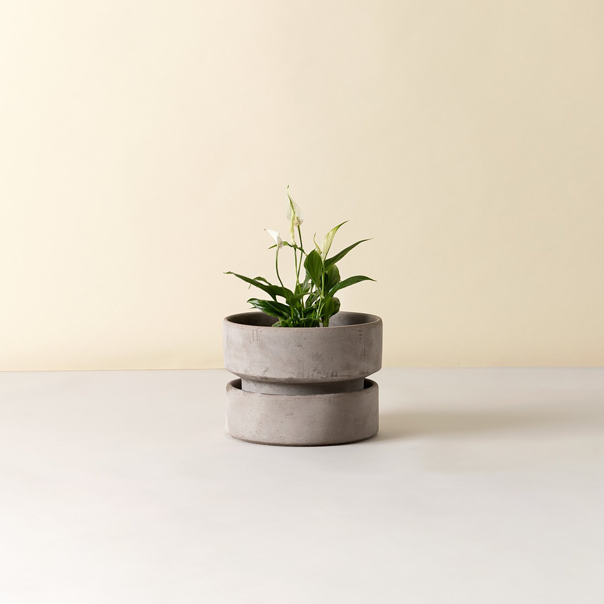 Goodee-Bergs Potter-Hoff Ø25 Low Planter - Color - Raw Grey
