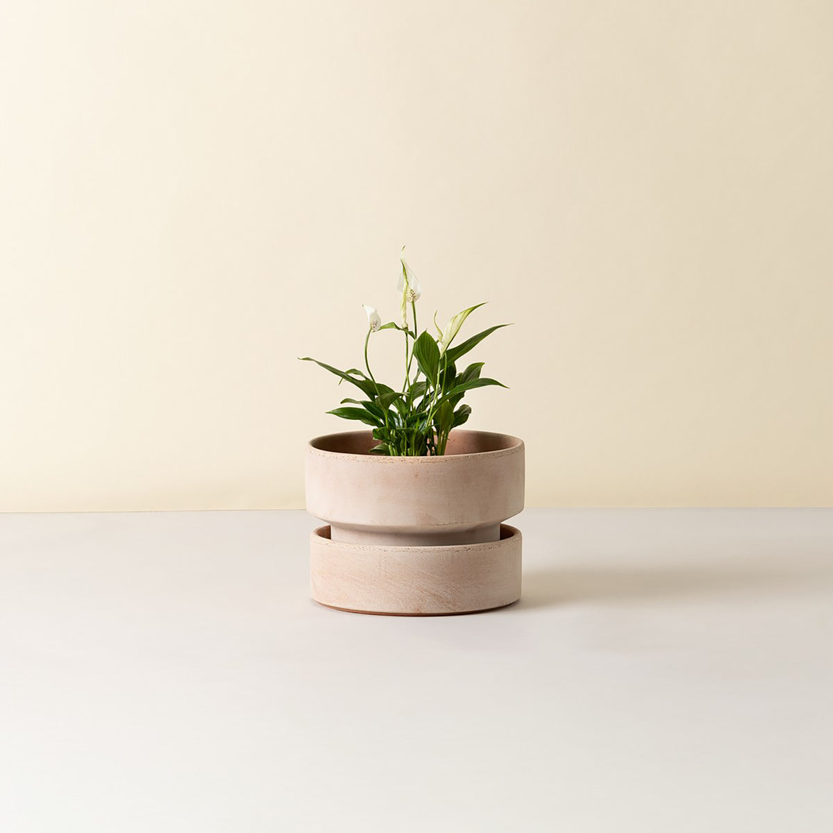 urban outfitters self watering planter Bergs Potter Hoff Ø25 Low Planter