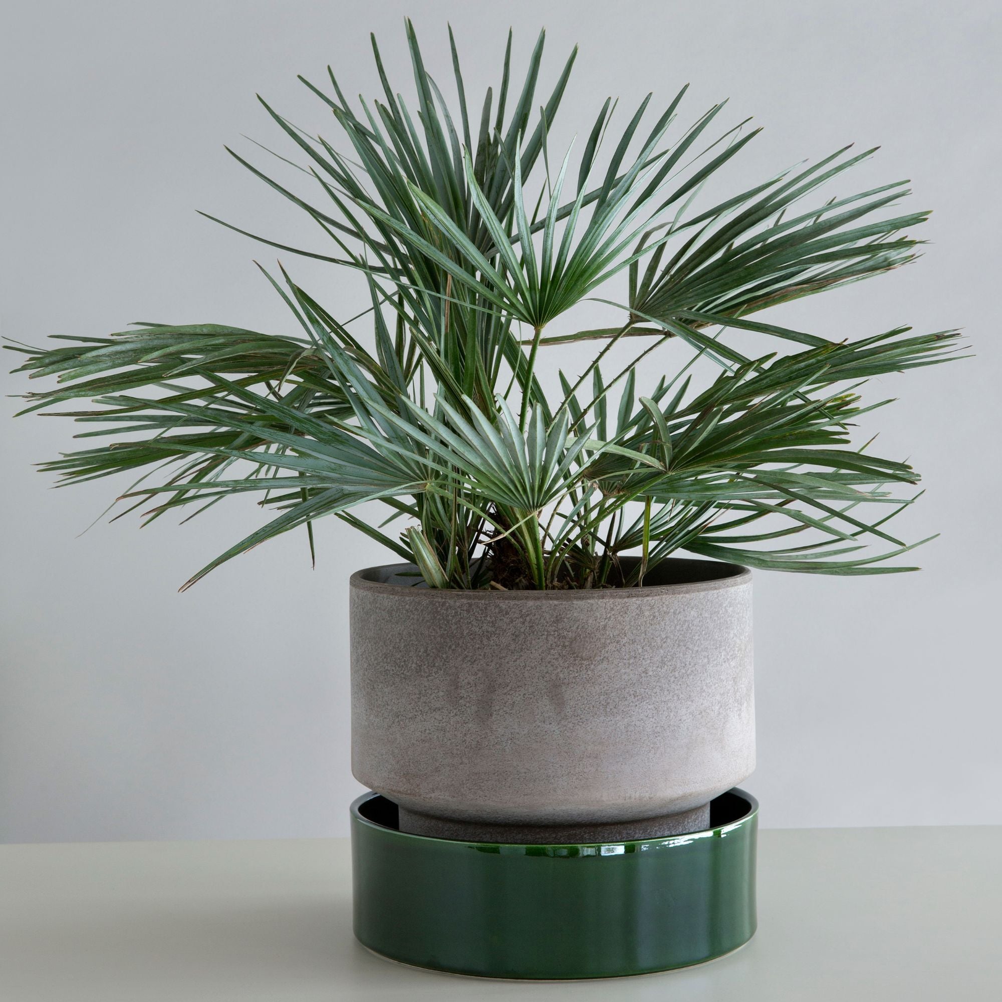 Goodee-Bergs Potter-Hoff Ø30 Planter & Saucer - Color - Raw Grey - Emerald Glazed