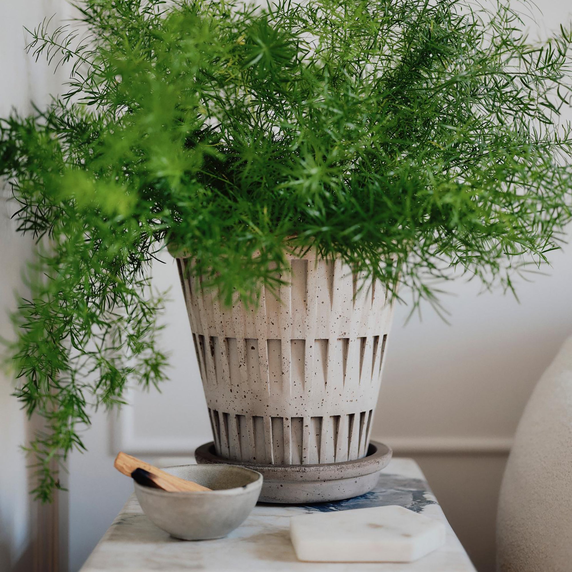 Goodee-Bergs Potter-Pantheon Ø14 Planter & Saucer - Color - Raw Grey