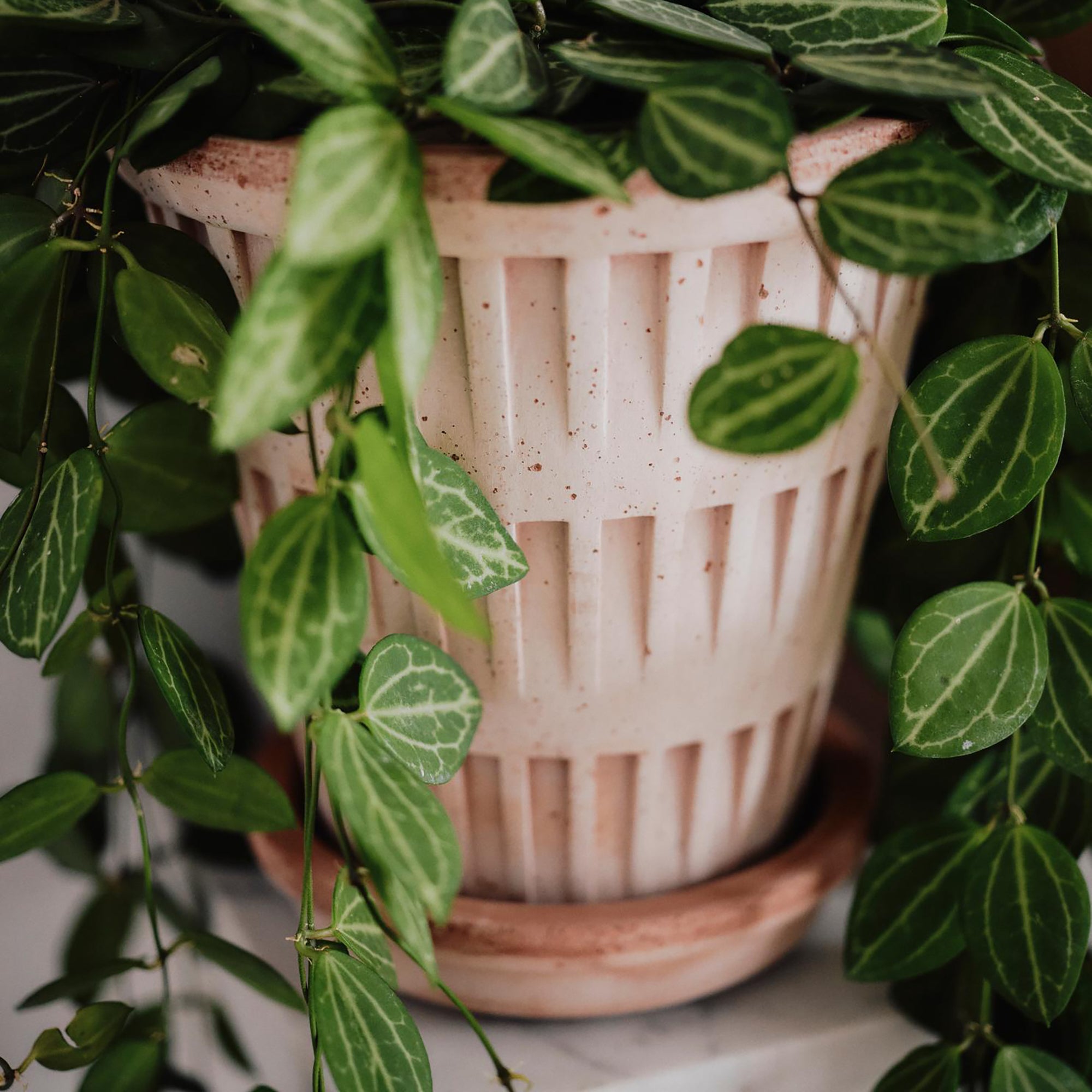 Goodee-Bergs Potter-Pantheon Ø14 Planter & Saucer - Color - Raw Rosa