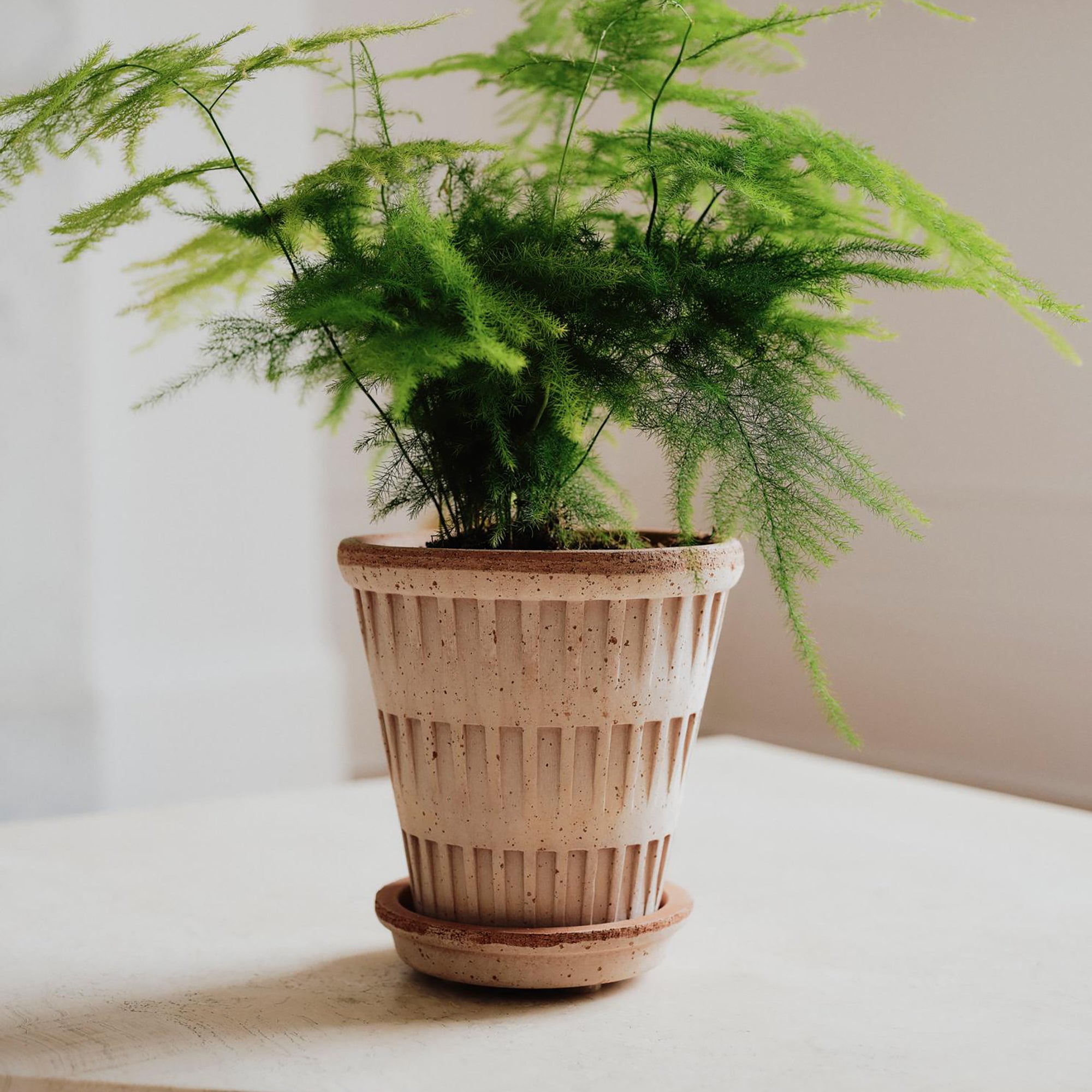 Goodee-Bergs Potter-Pantheon Ø14 Planter & Saucer - Color - Raw Rosa