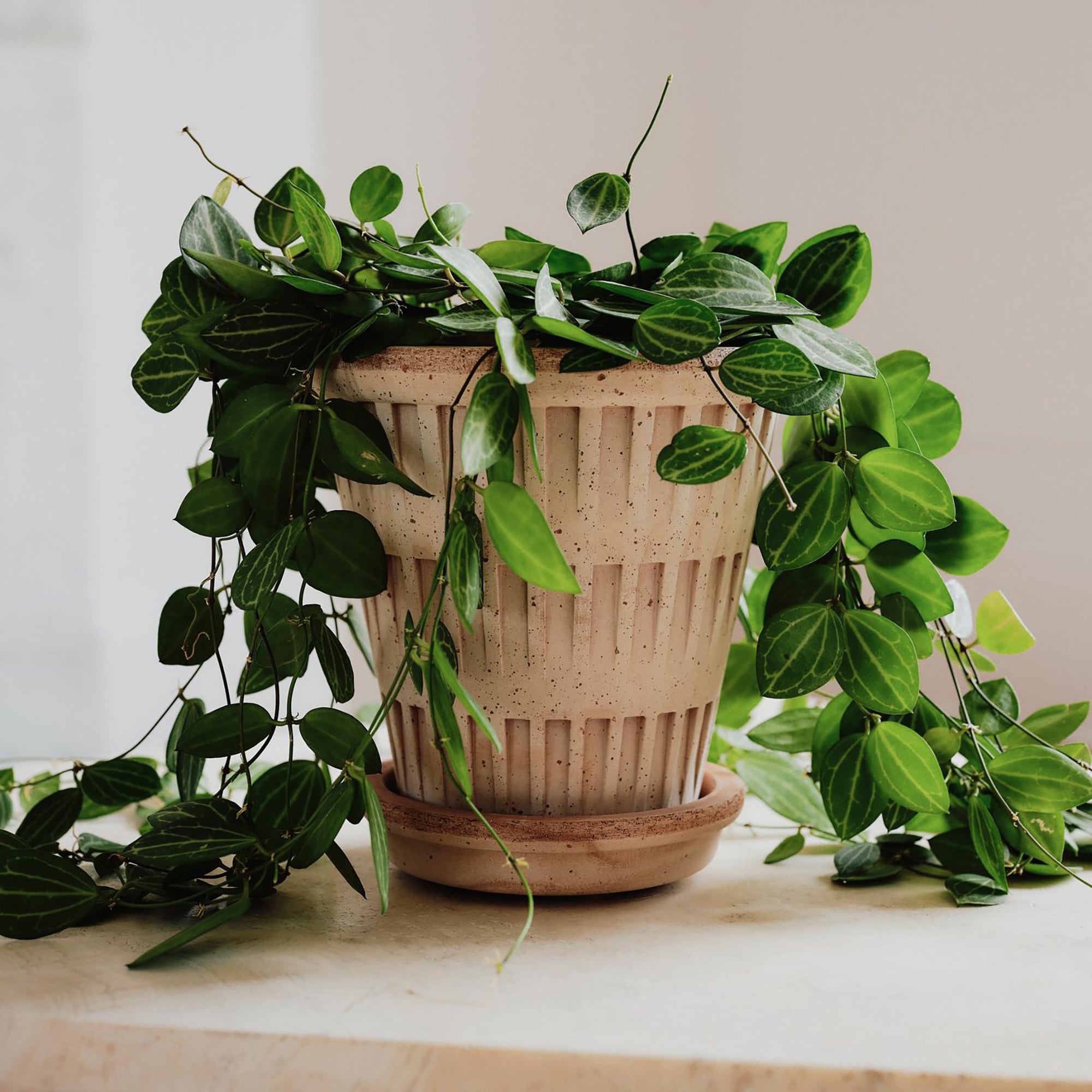 Goodee-Bergs Potter-Pantheon Ø14 Planter & Saucer - Color - Raw Rosa