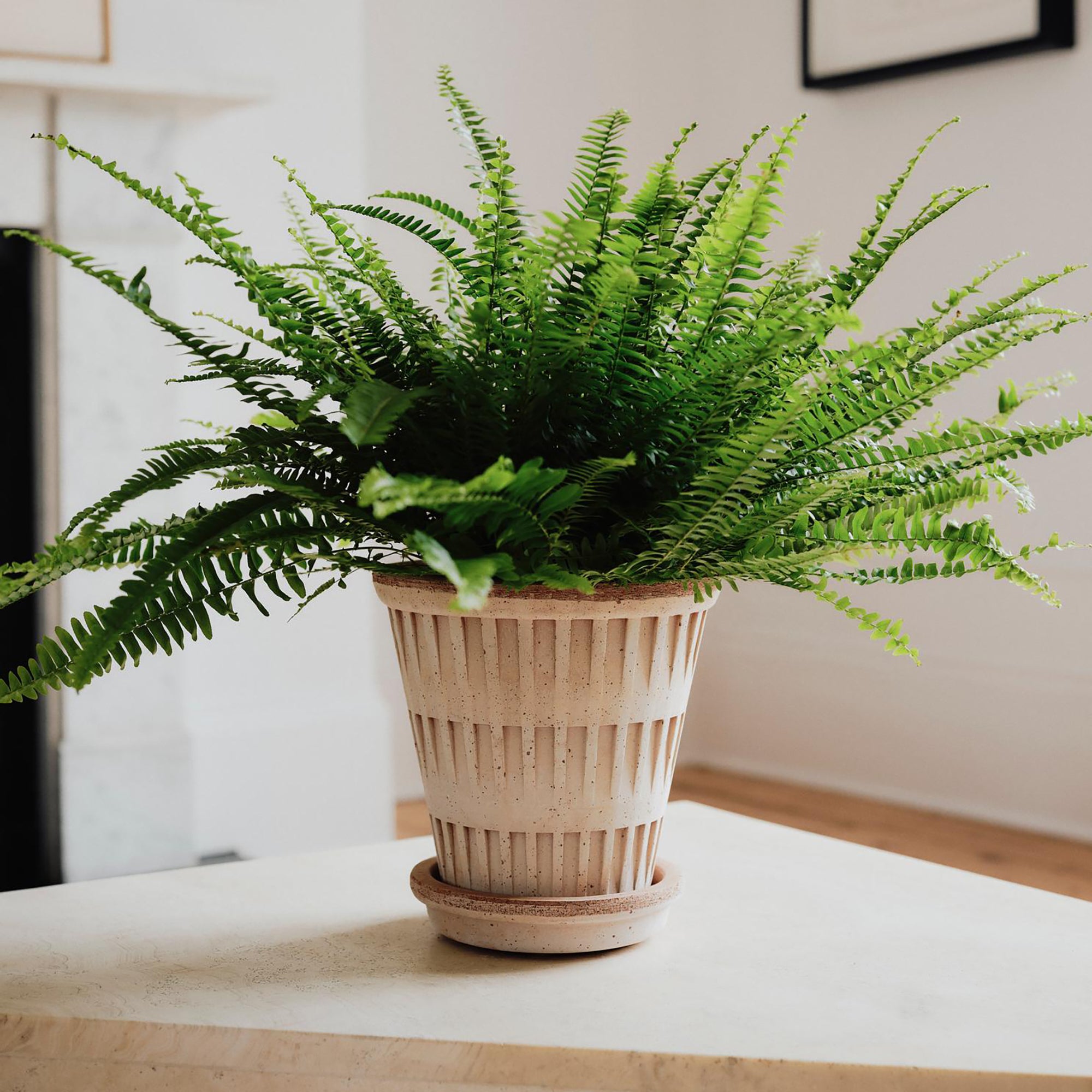 Goodee-Bergs Potter-Pantheon Ø14 Planter & Saucer - Color - Raw Rosa