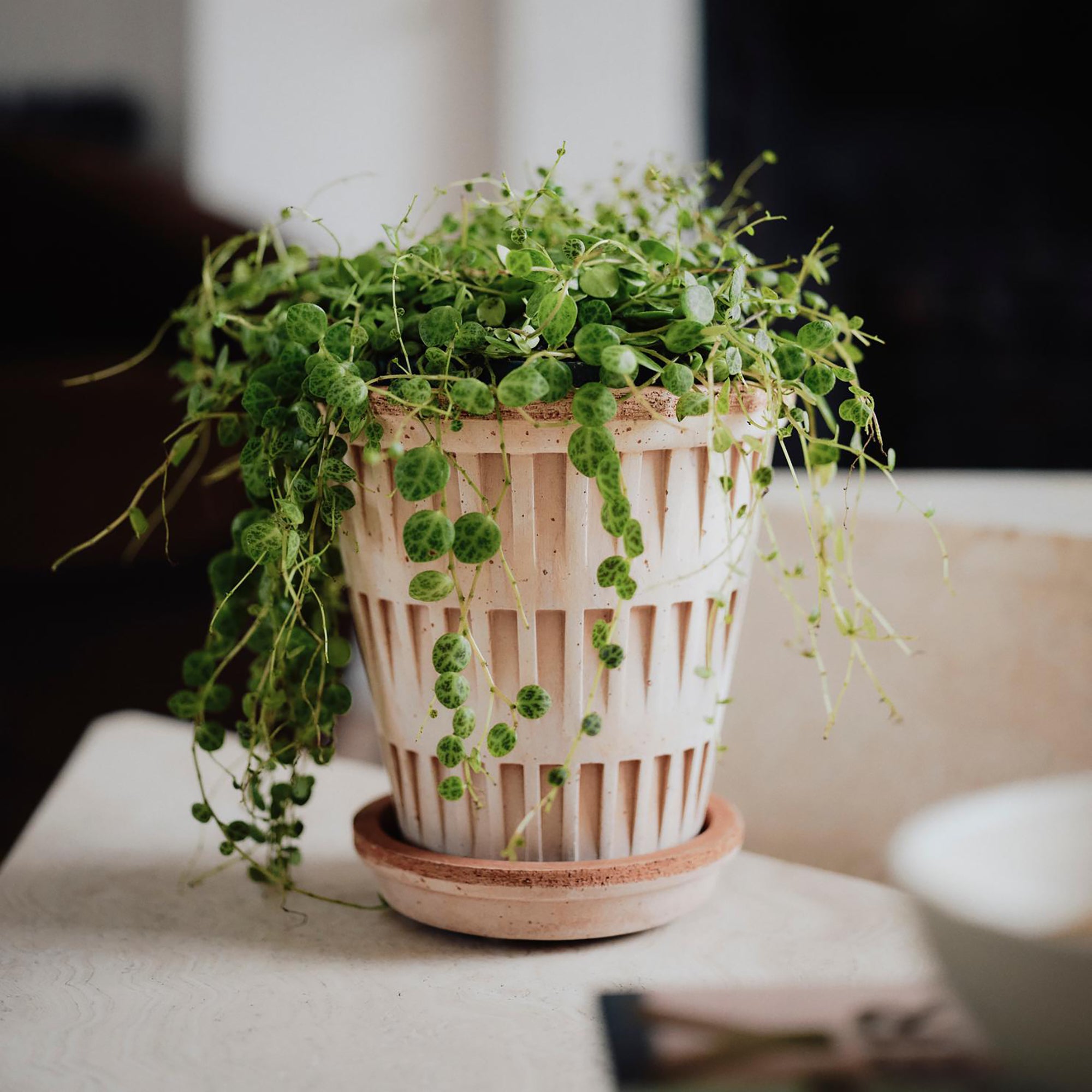 Goodee-Bergs Potter-Pantheon Ø14 Planter & Saucer - Color - Raw Rosa