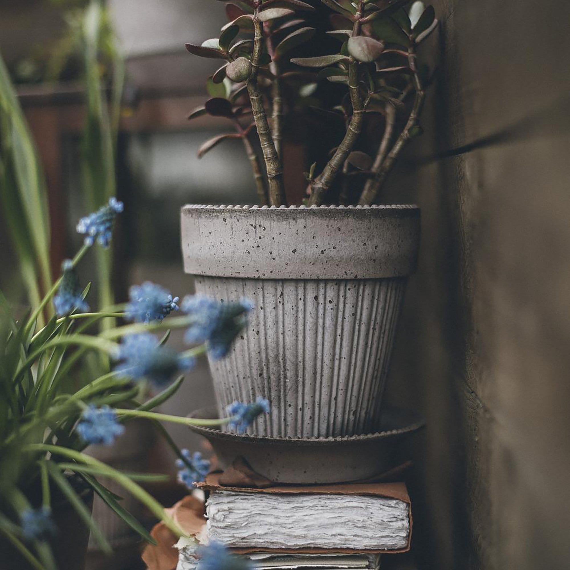 Goodee-Bergs Potter-Simona Ø18 Planter & Saucer Gift Set - Color - Raw Grey