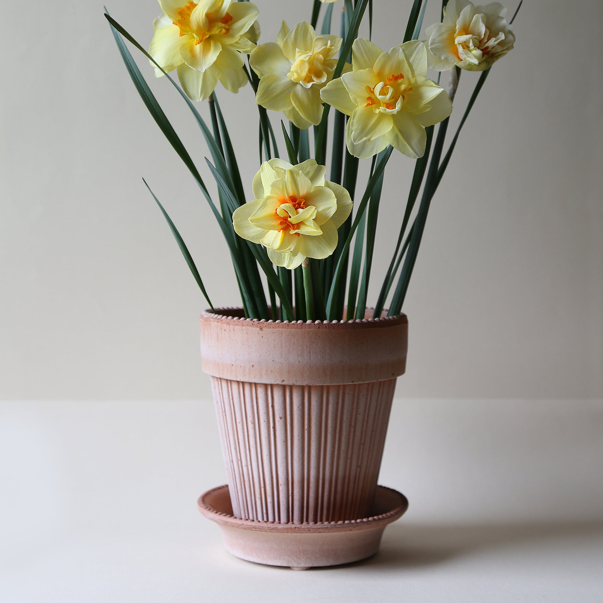 Goodee-Bergs Potter-Simona Ø18 Planter & Saucer Gift Set - Color - Raw Rosa