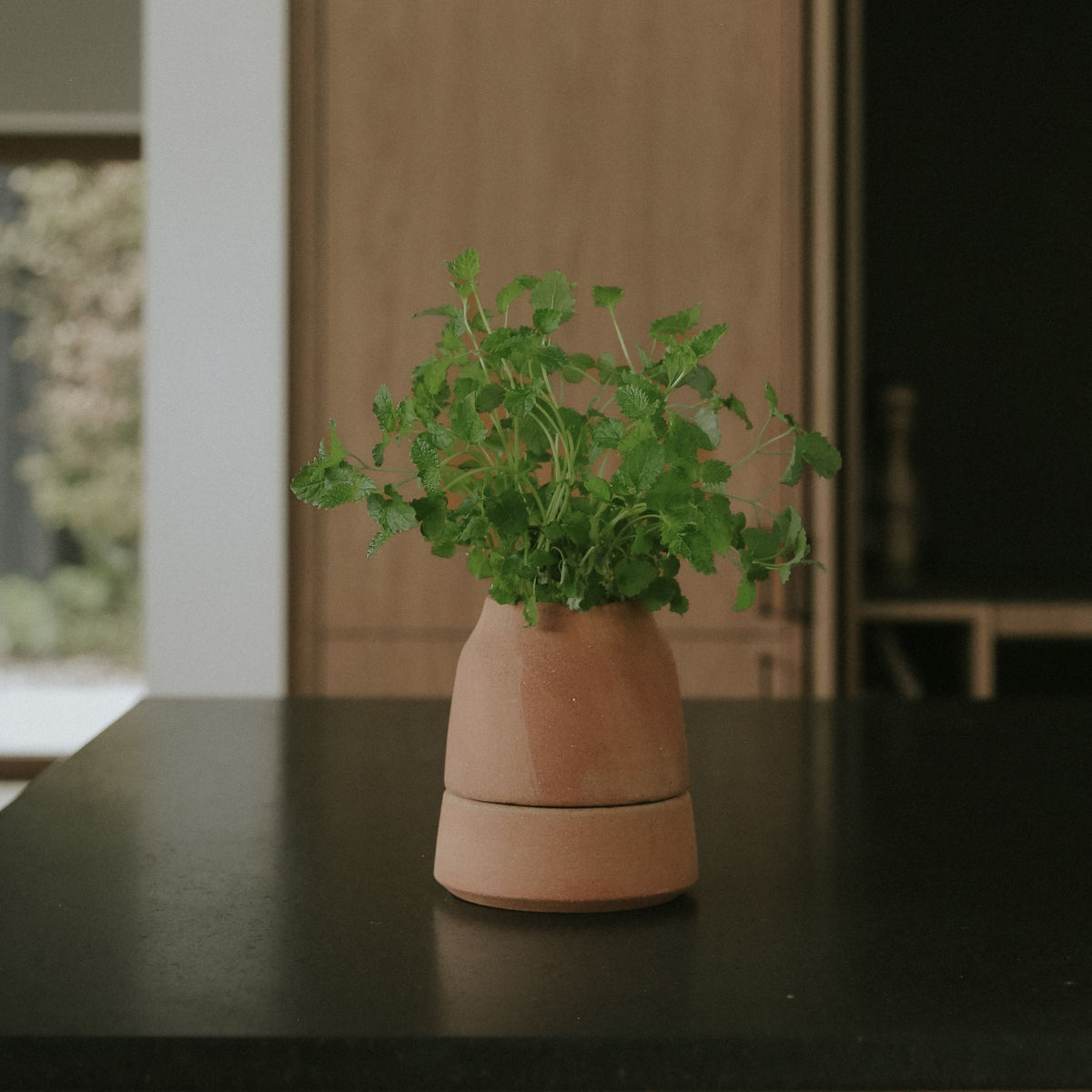 Goodee-Bergs Potter-Viva Ø12 Self-Watering Planter & Saucer - Color - Raw Rosa
