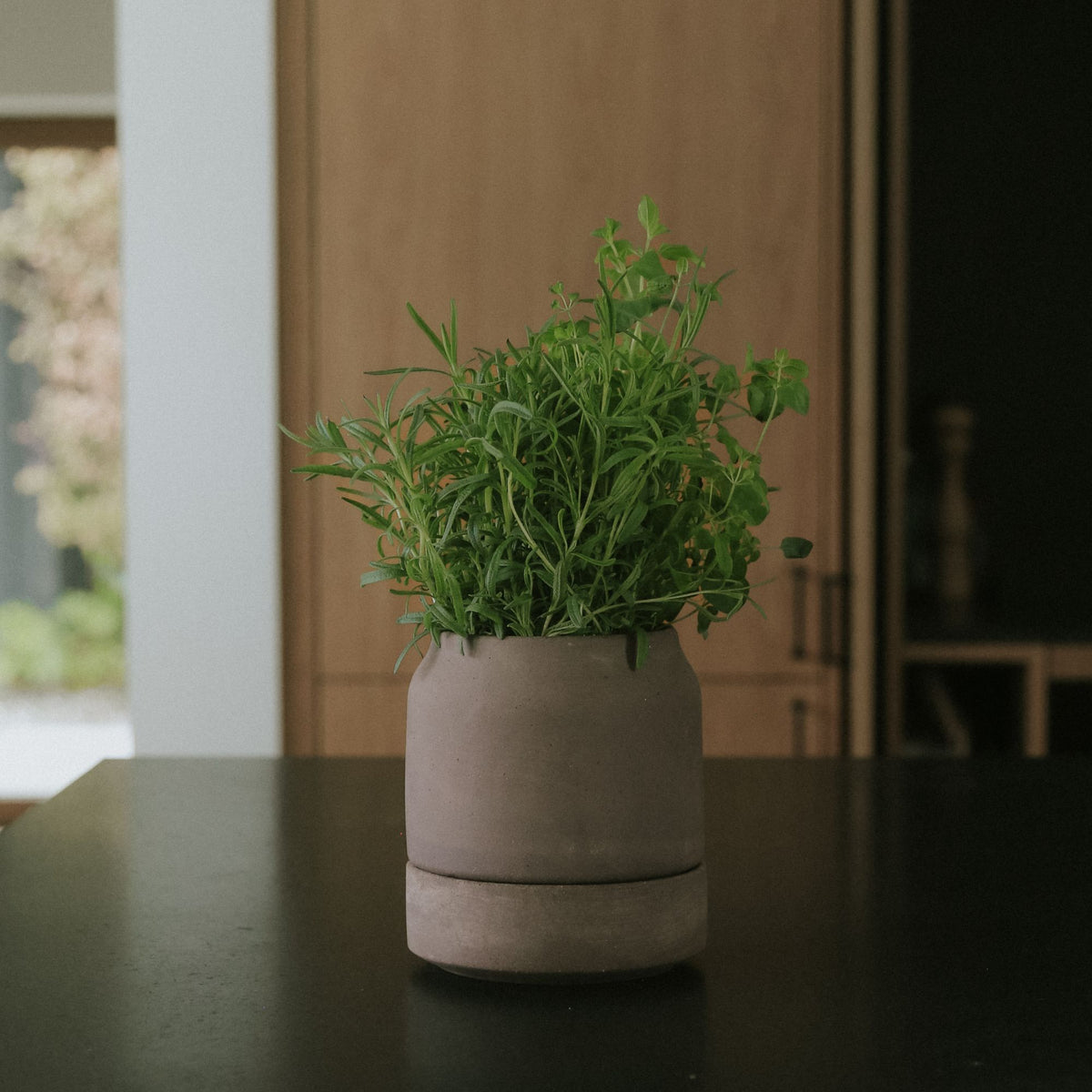 Goodee-Bergs Potter-Viva Ø14 Self-Watering Planter & Saucer - Color - Raw Grey