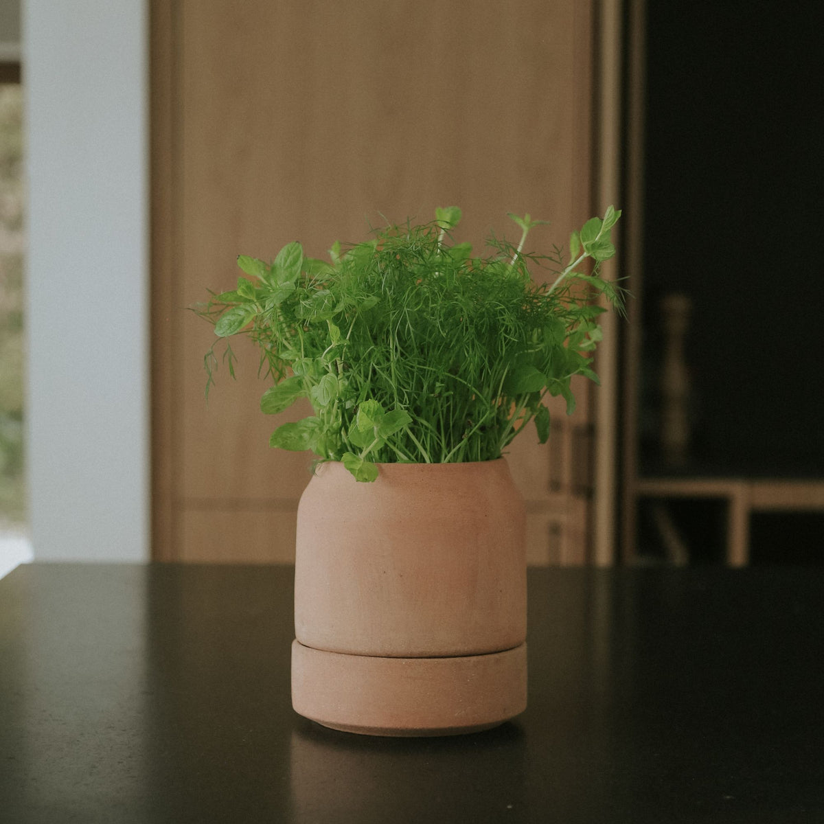 Goodee-Bergs Potter-Viva Ø14 Self-Watering Planter & Saucer - Color - Raw Rosa