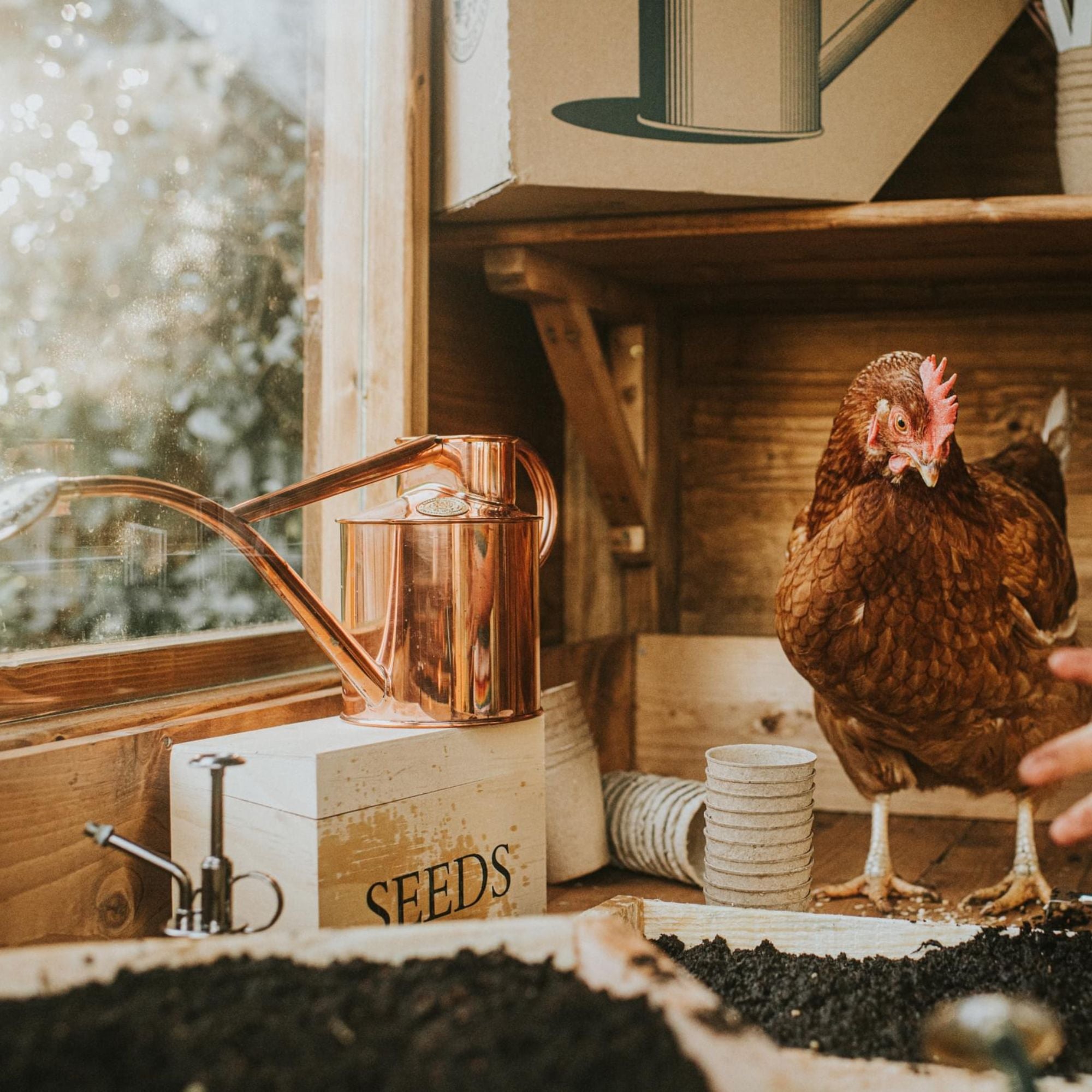 Goodee-Haws-The Rowley Ripple (Two Pint) - Color - Copper