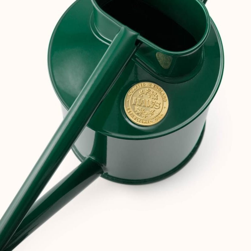 Goodee-Haws-The Fazeley Flow (Two Pint) - Color - Green