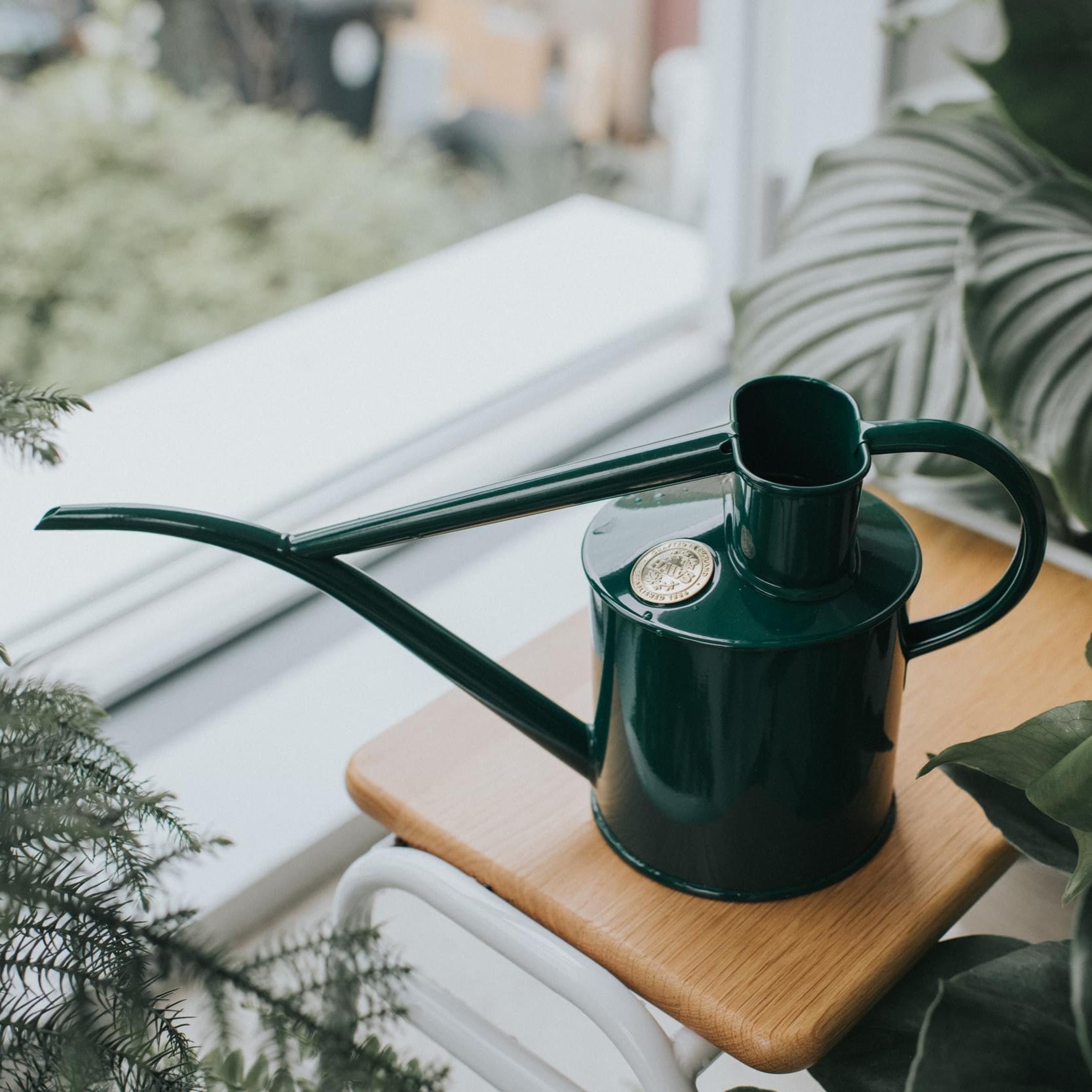 Goodee-Haws-The Fazeley Flow (Two Pint) - Color - Green