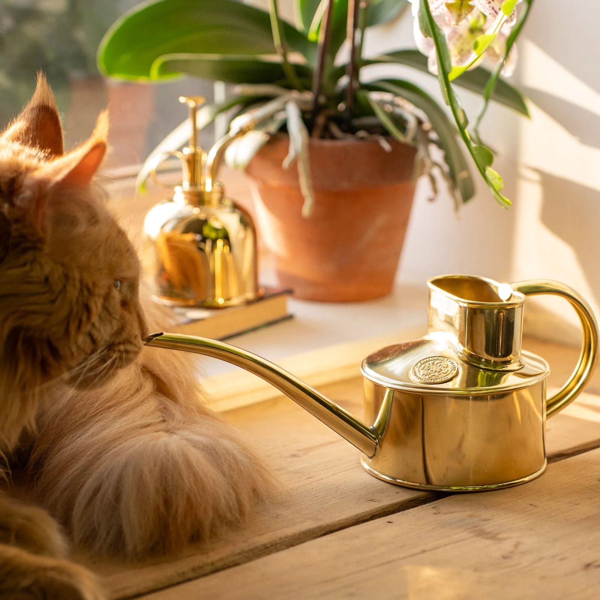 Goodee-Haws-The Fazeley Flow (One Pint) - Color - Brass