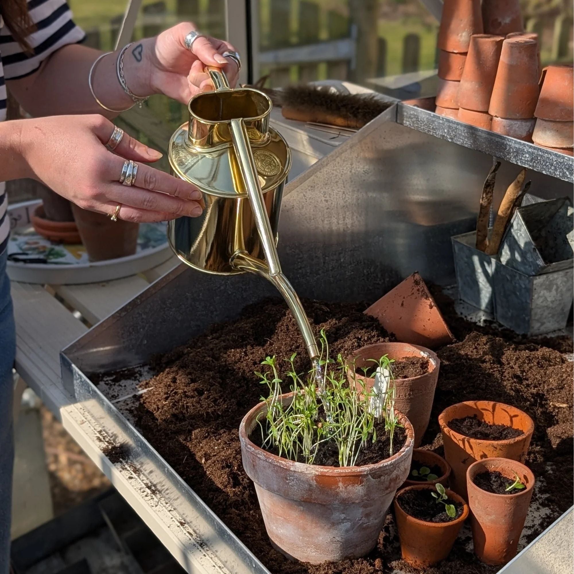 Goodee-Haws-The Rowley Ripple (Two Pint) - Color - Brass