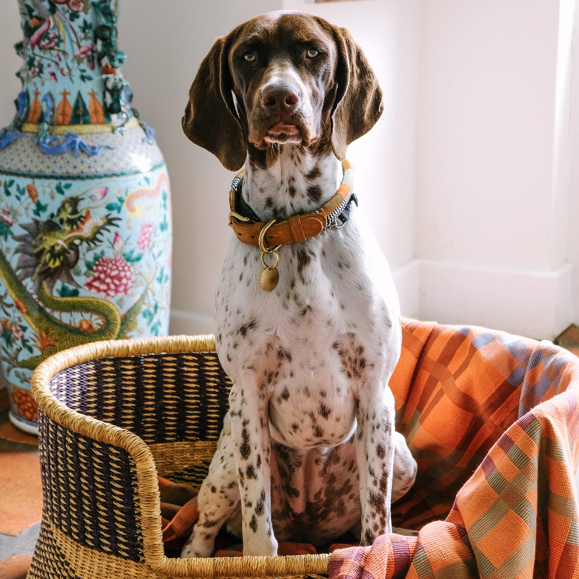 Goodee-Mungo-Fido Woven Cotton Dog Blanket-Ginger - Color - Ginger