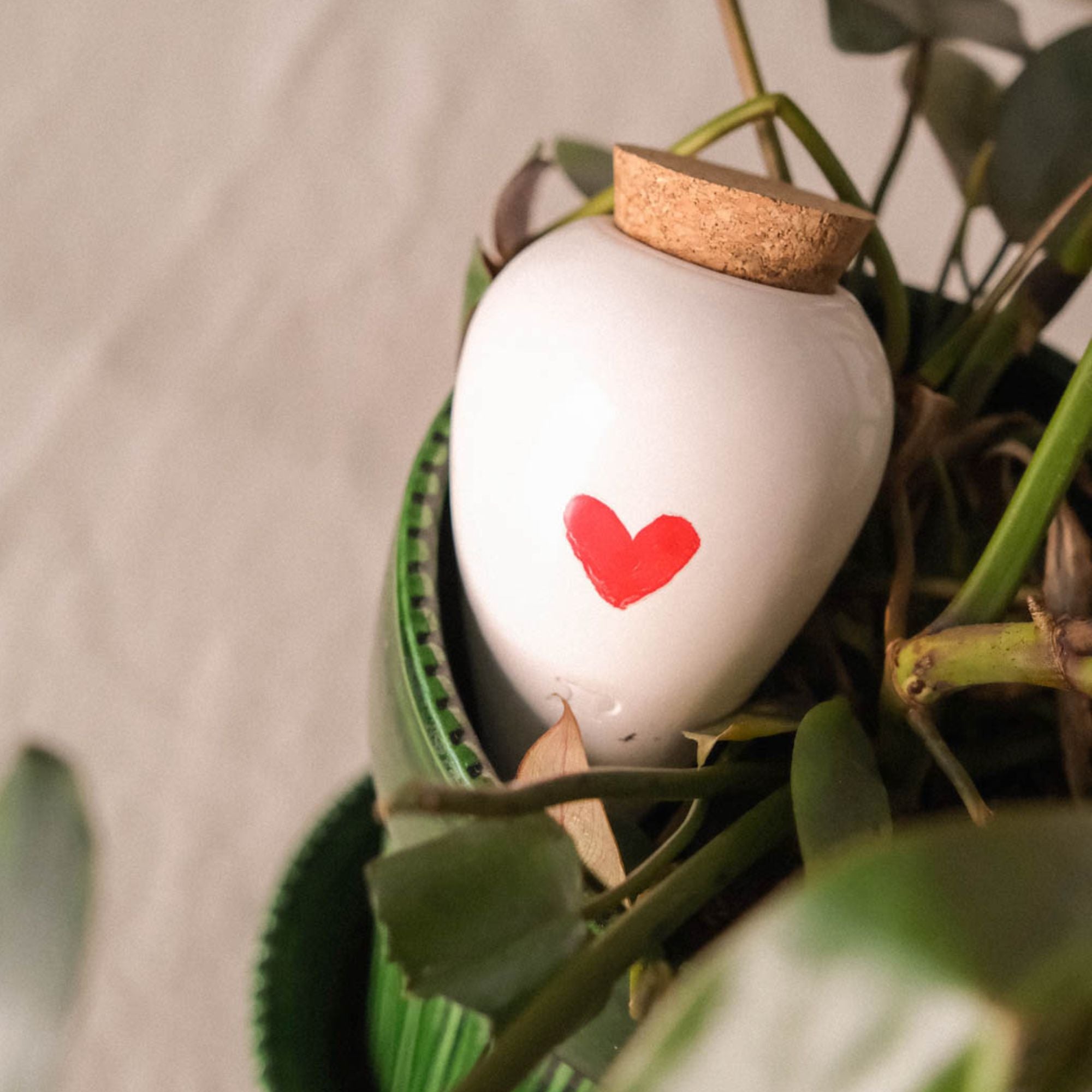 Goodee-Pepin-Olla Self-Watering Pot - Glaze - Color - Heart