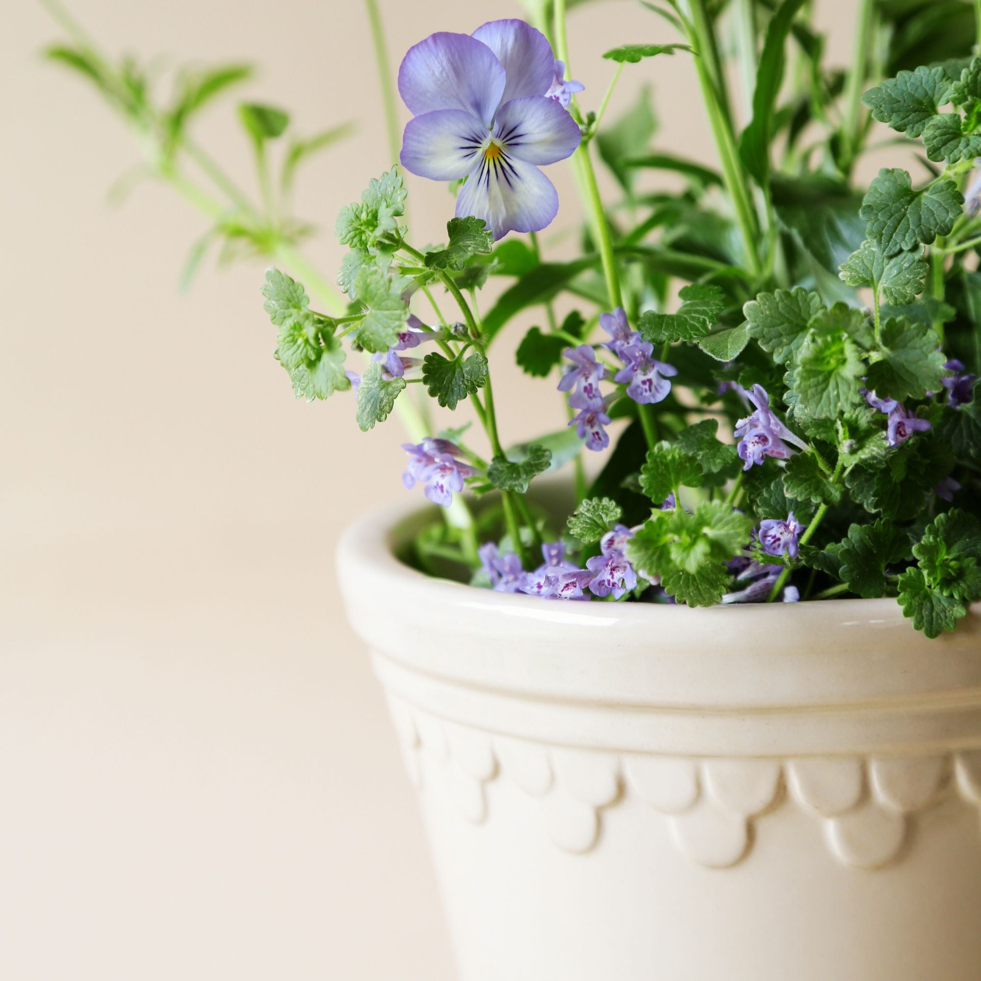 Goodee-Bergs Potter-Copenhagen Ø14 Planter & Saucer - Color - Sandstone Glazed