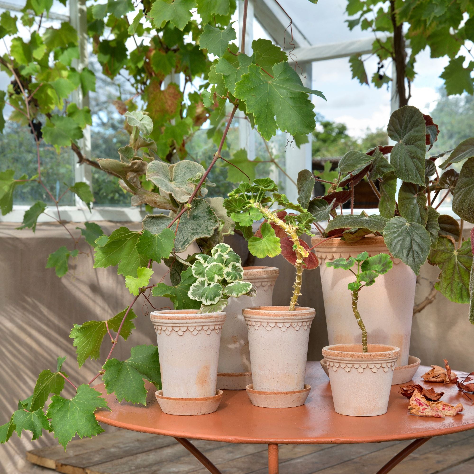 Goodee-Bergs Potter-Copenhagen Ø18 Tall Planter & Saucer - Color - Raw Rosa