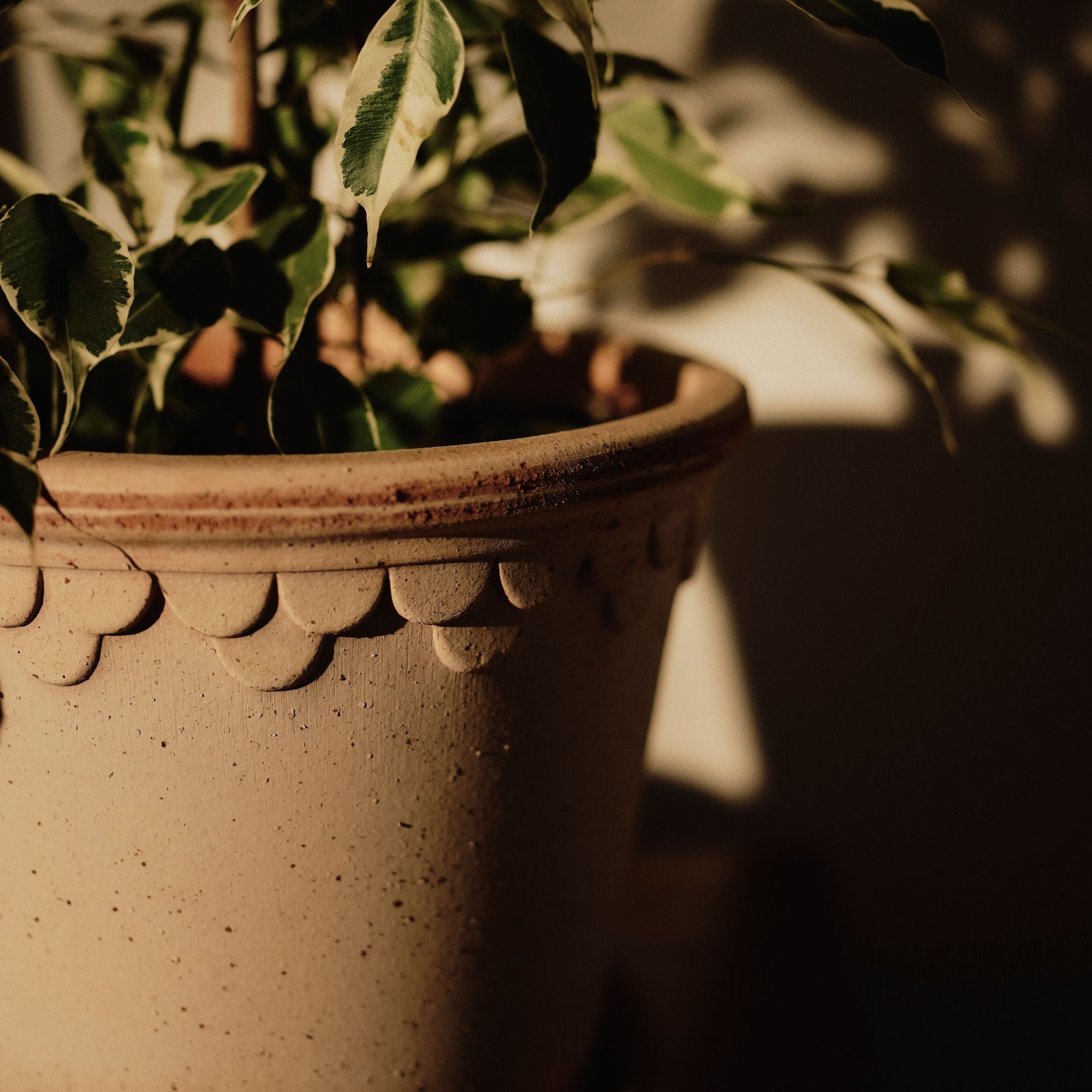 Goodee-Bergs Potter-Copenhagen Ø30 Planter & Saucer - Color - Raw Rosa