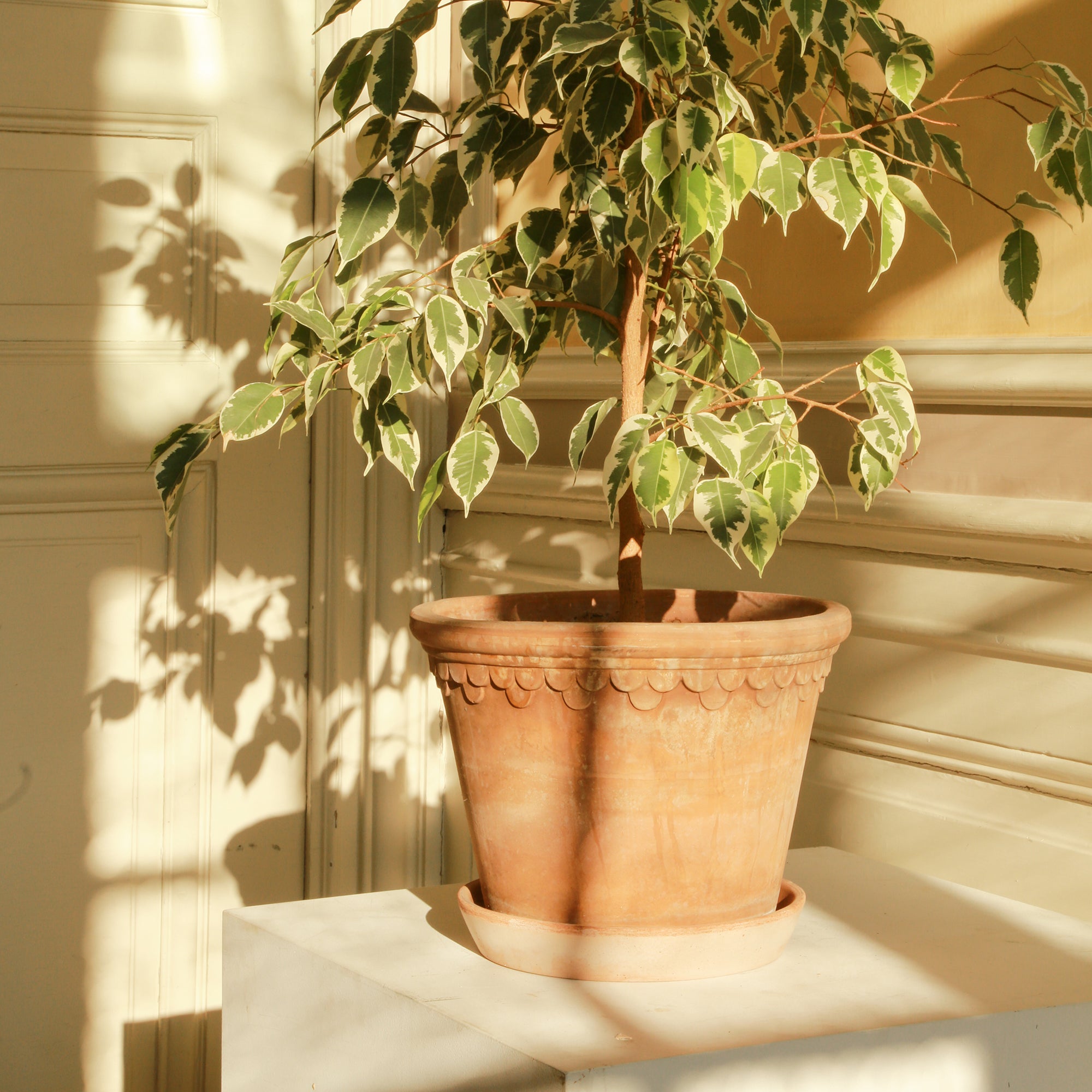 Goodee-Bergs Potter-Copenhagen Ø30 Planter & Saucer - Color - Raw Rosa