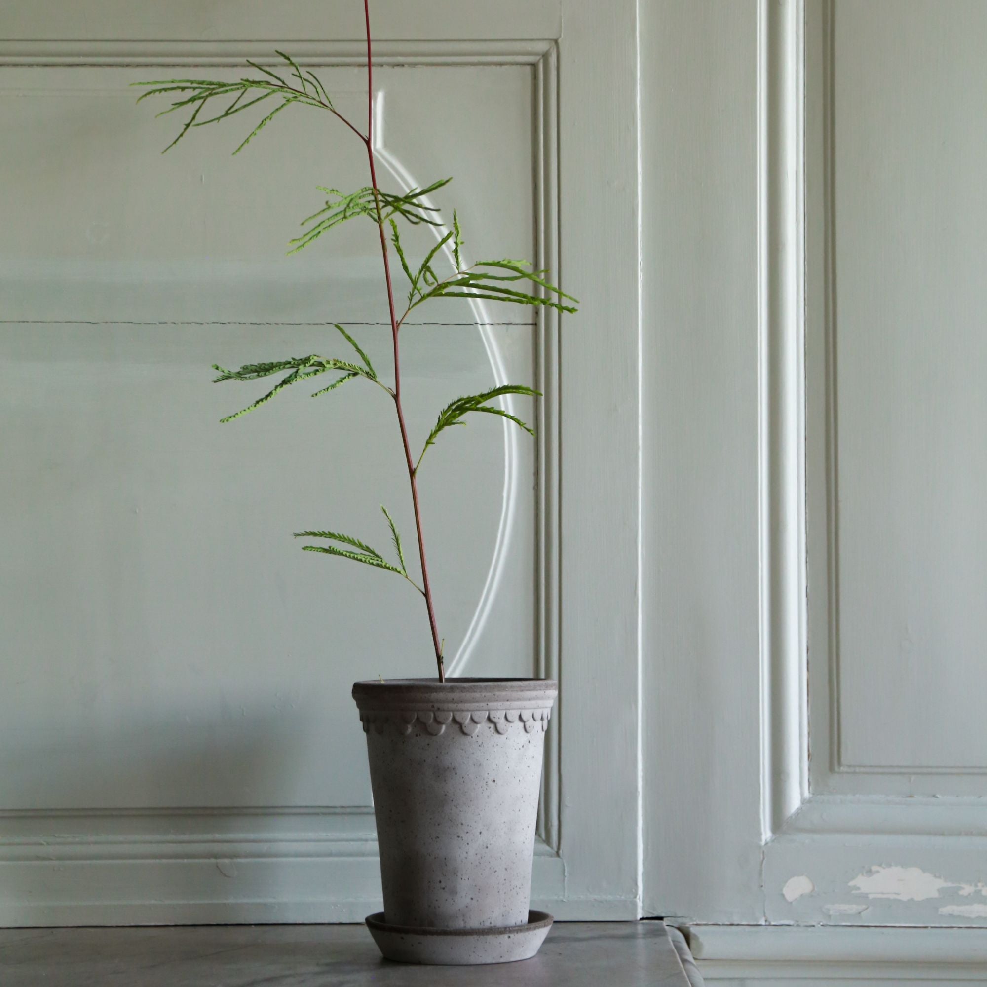 Goodee-Bergs Potter-Copenhagen Ø18 Tall Planter & Saucer - Color - Raw Grey