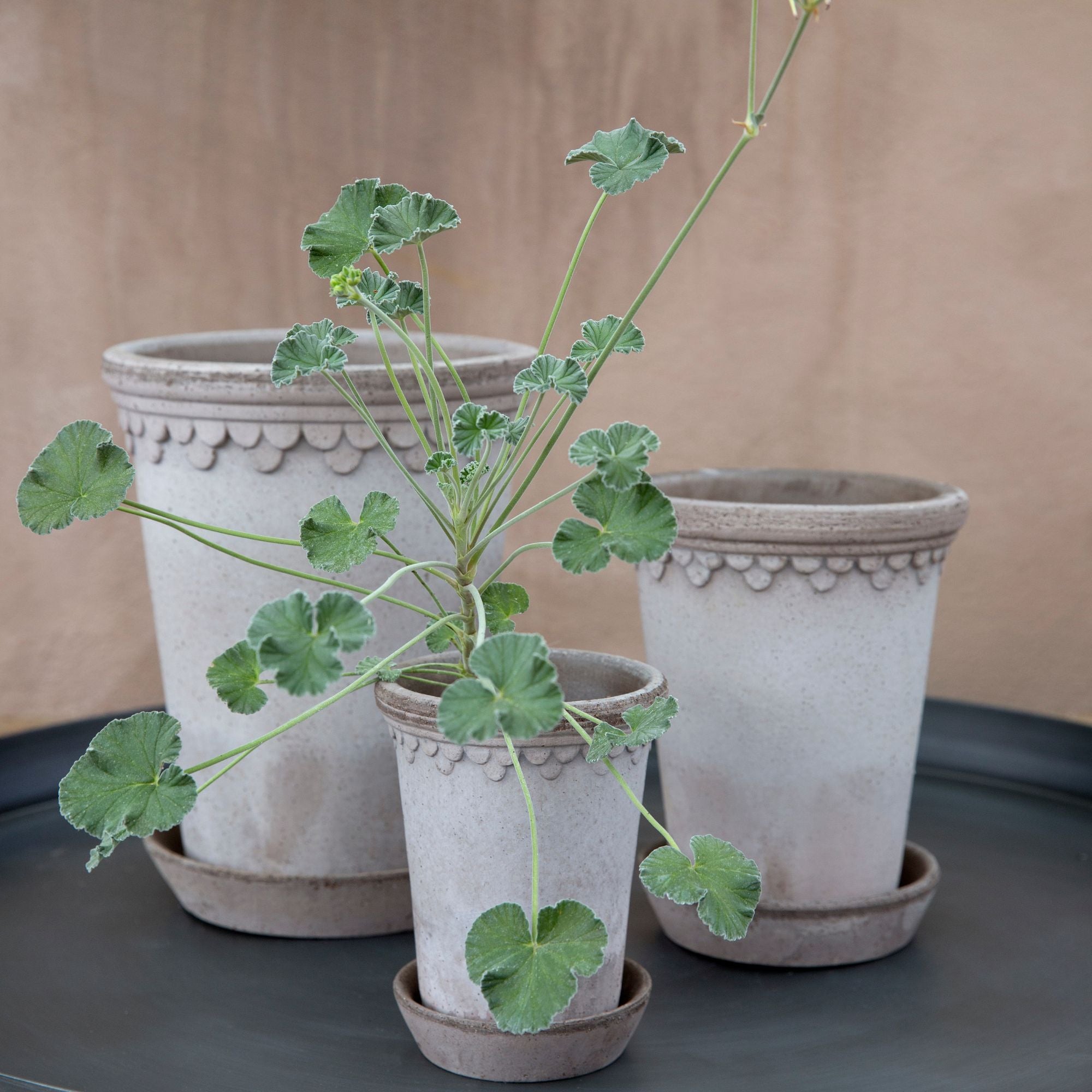 Goodee-Bergs Potter-Copenhagen Ø18 Tall Planter & Saucer - Color - Raw Grey
