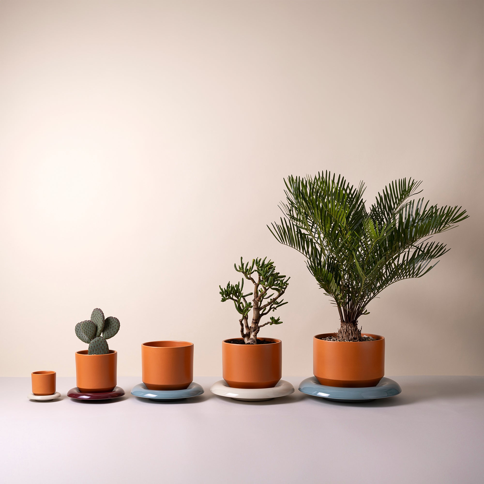 Goodee-Bergs Potter-Lily Saucer & Planter