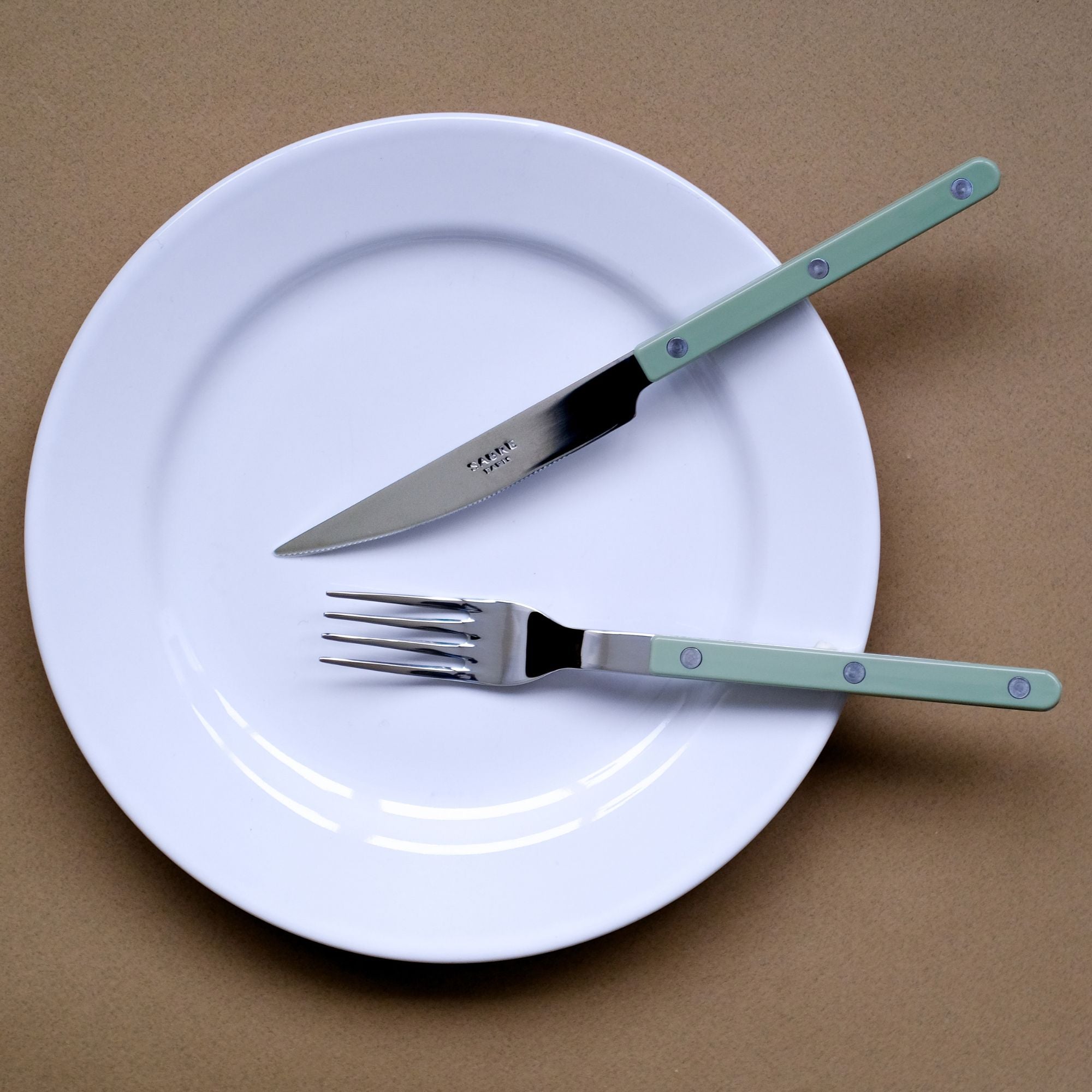 Goodee-Sabre Paris-Bistrot Solid Flatware - Set of 4 - Color - Asparagus/Shiny