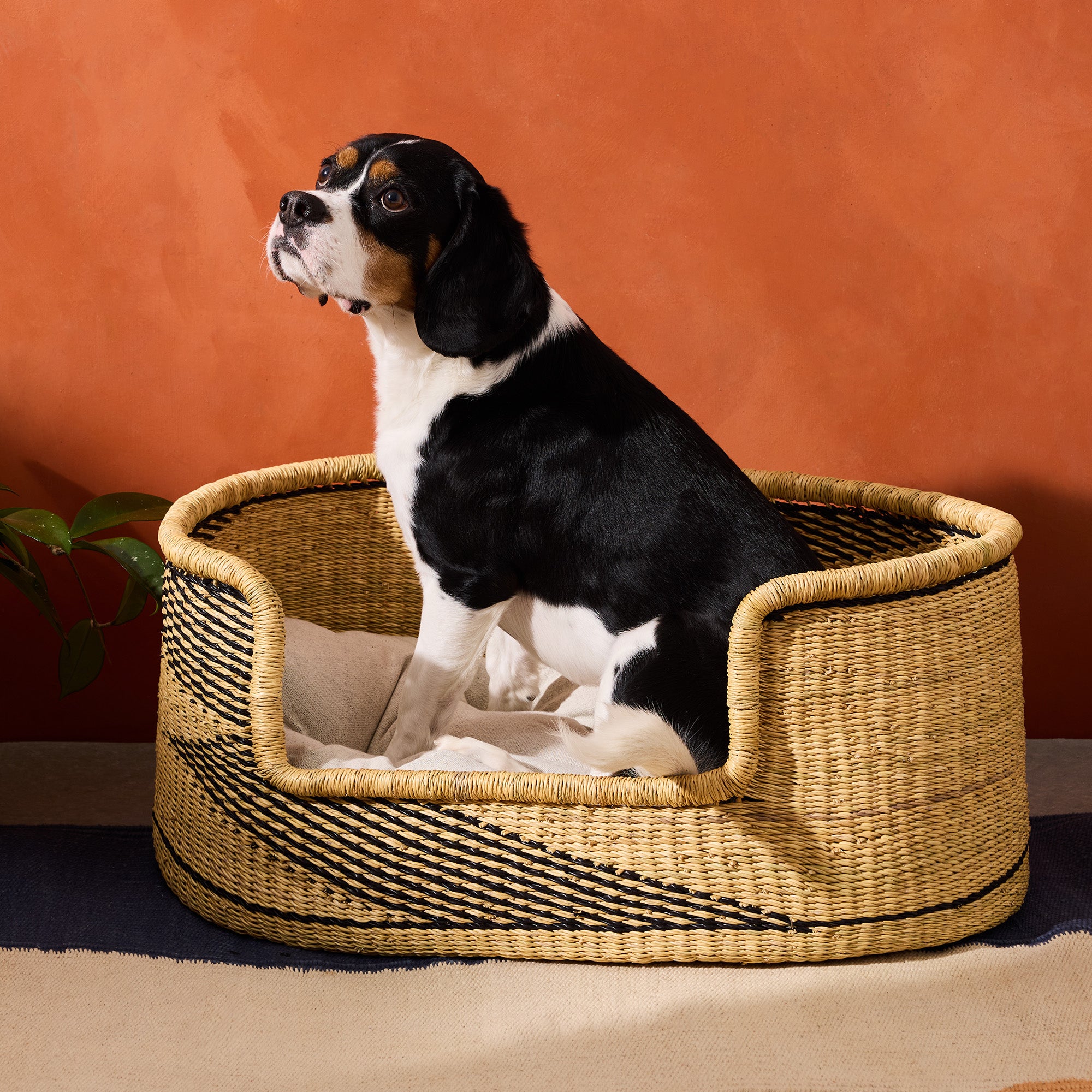 Goodee-Baba Tree-Medium Dog Bed Basket - Color - Natural & Black
