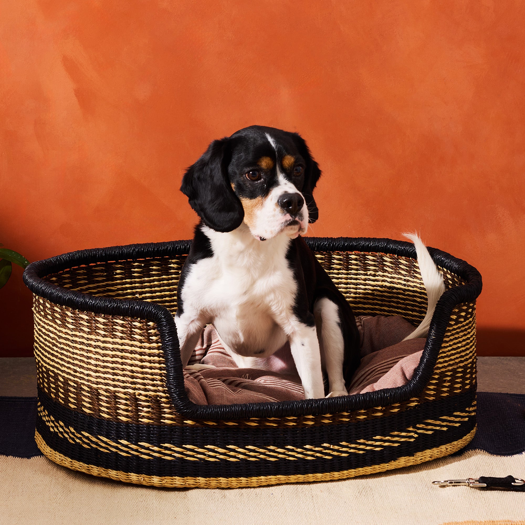 Goodee-Baba Tree-Medium Dog Bed Basket - Color - Brown & Natural