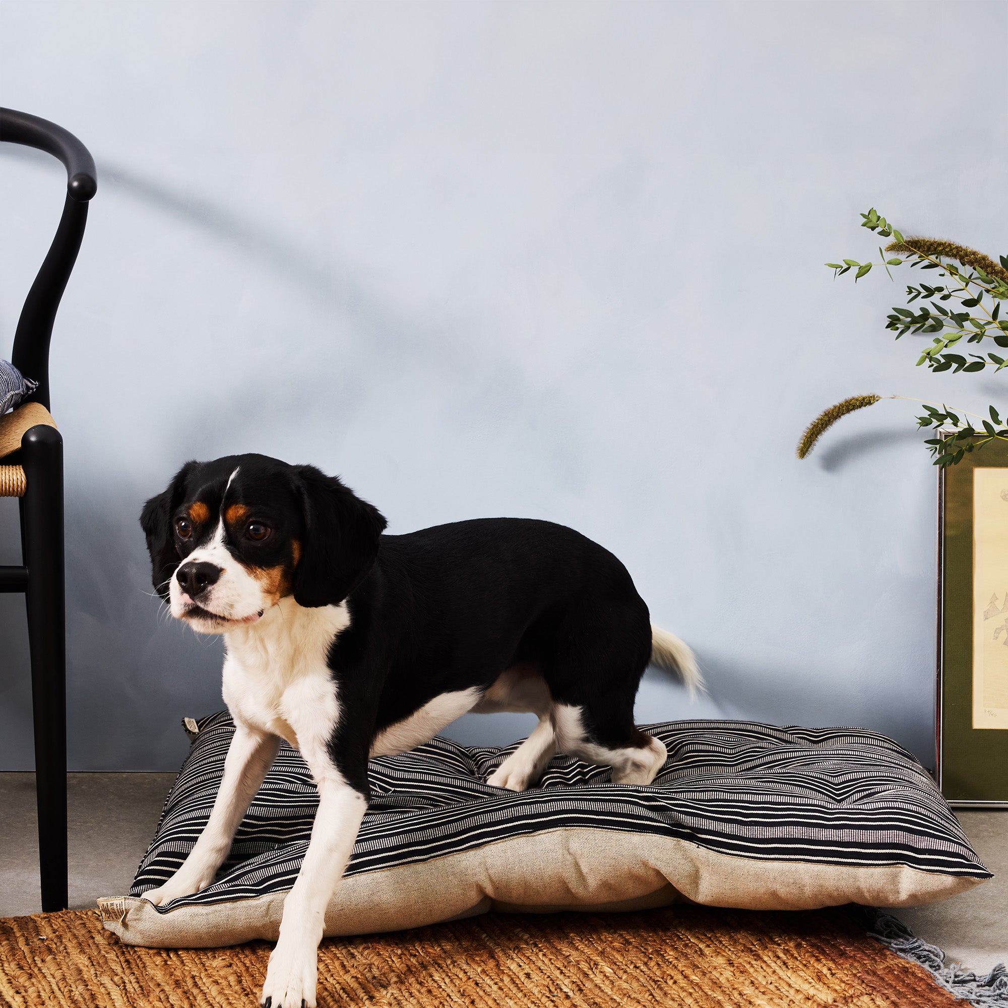 Goodee-Tensira-Dog Bed - Color - Black & Off-White Stripe