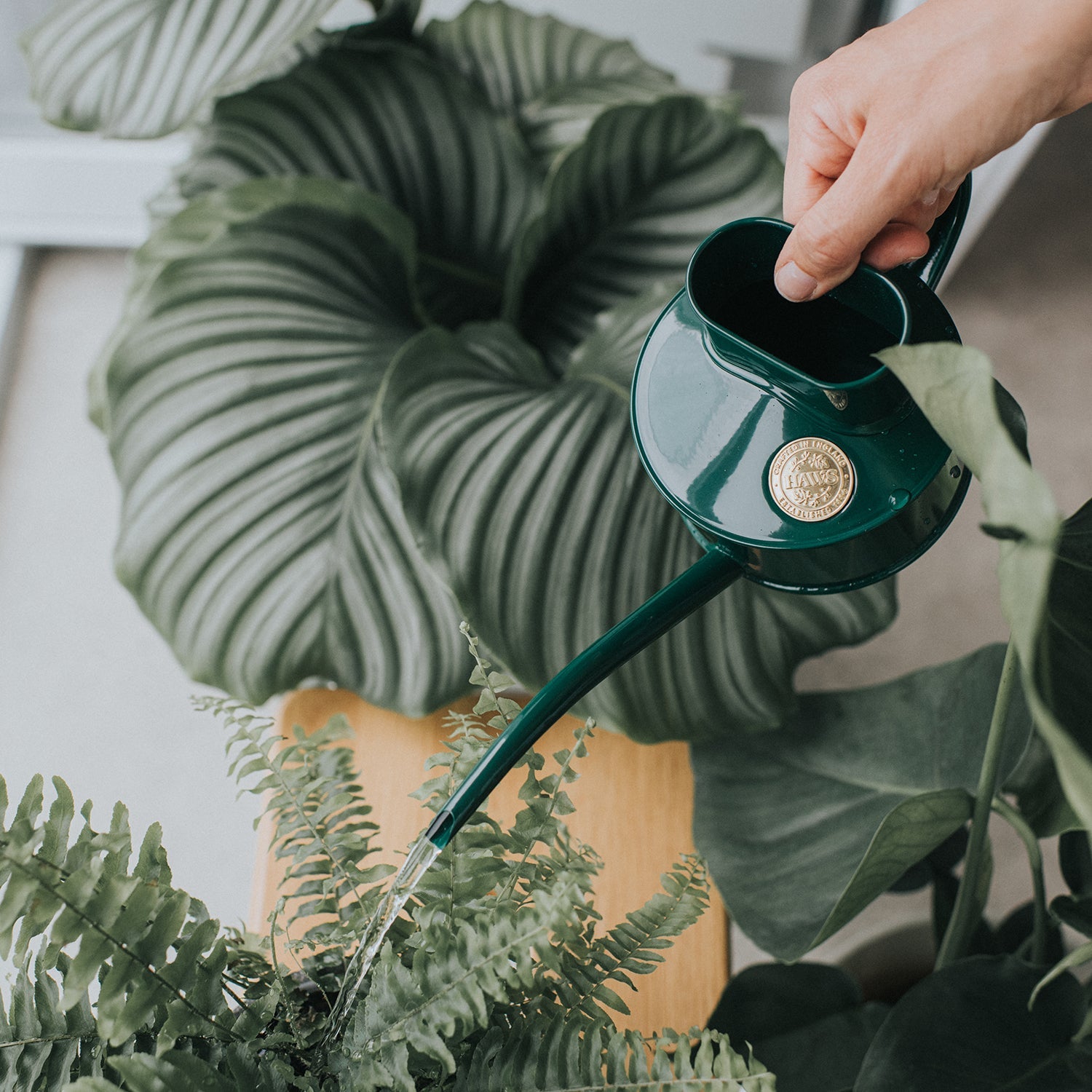 Goodee-Haws-The Fazeley Flow (One Pint) - Color - Green