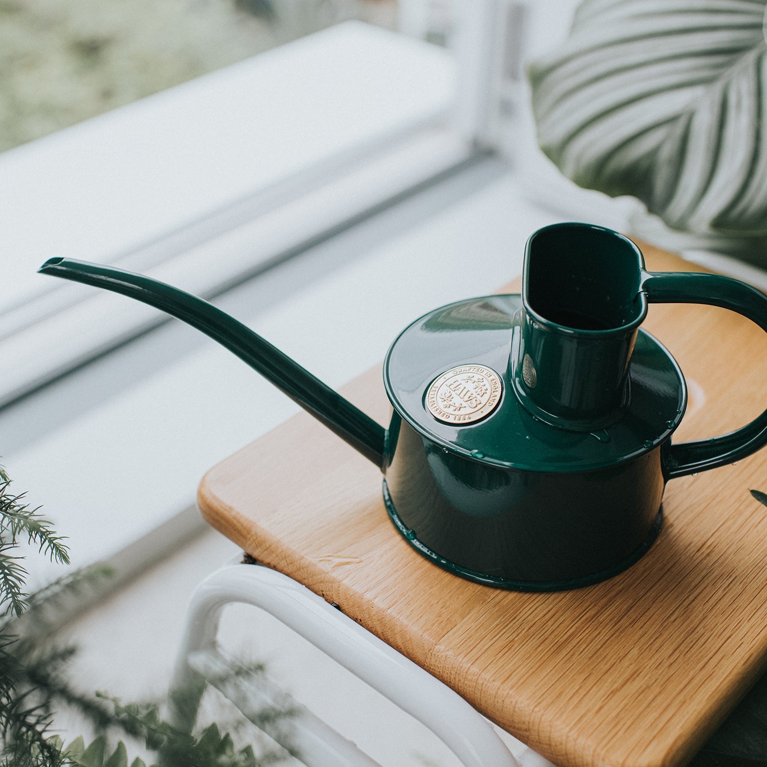 Goodee-Haws-The Fazeley Flow (One Pint) - Color - Green