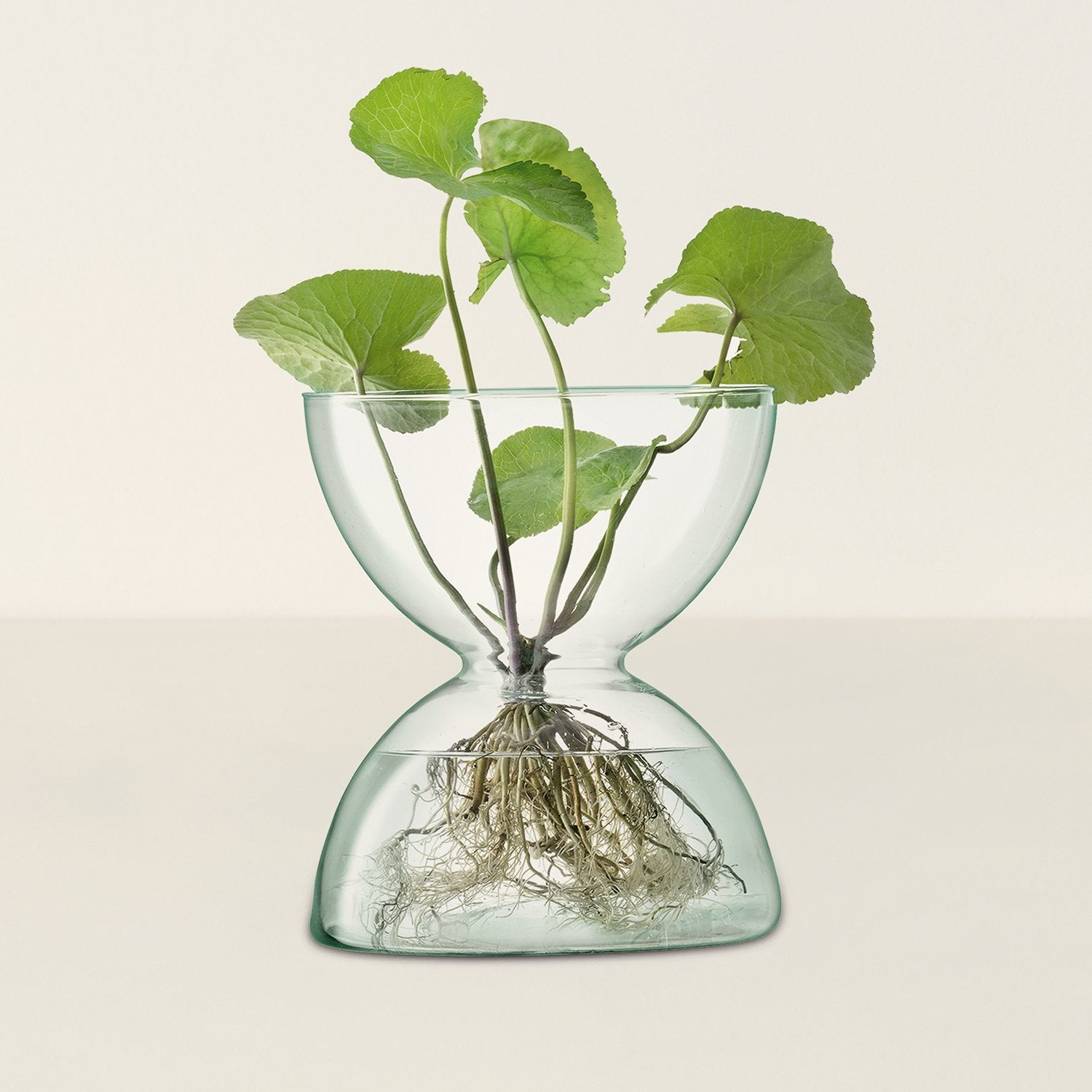 Goodee-LSA International-Canopy Vase
