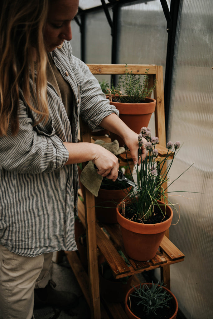 Cultivating Wabi Sabi in the Garden