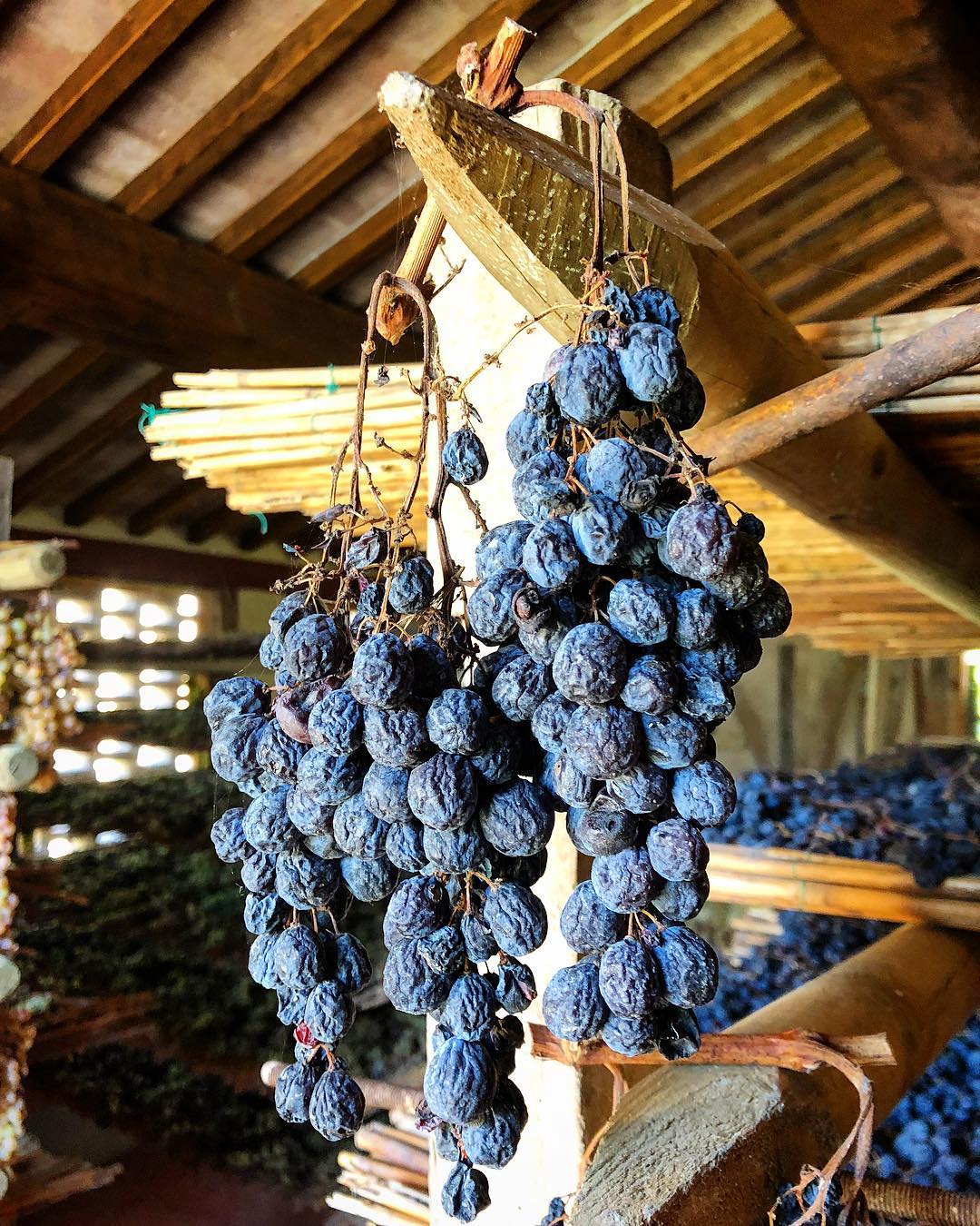Life, by the glass.