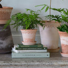 Goodee-Bergs Potter-Copenhagen Ø14 Planter & Saucer - Color - Raw Rosa