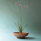 Goodee-Bergs Potter-Ada Ø30 Bowl & Saucer - Color - Raw Rosa