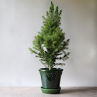 Goodee-Bergs Potter-Copenhagen Ø18 Planter & Saucer - Color - Emerald Glazed