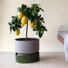 Goodee-Bergs Potter-Hoff Ø30 Planter - Color - Raw Grey