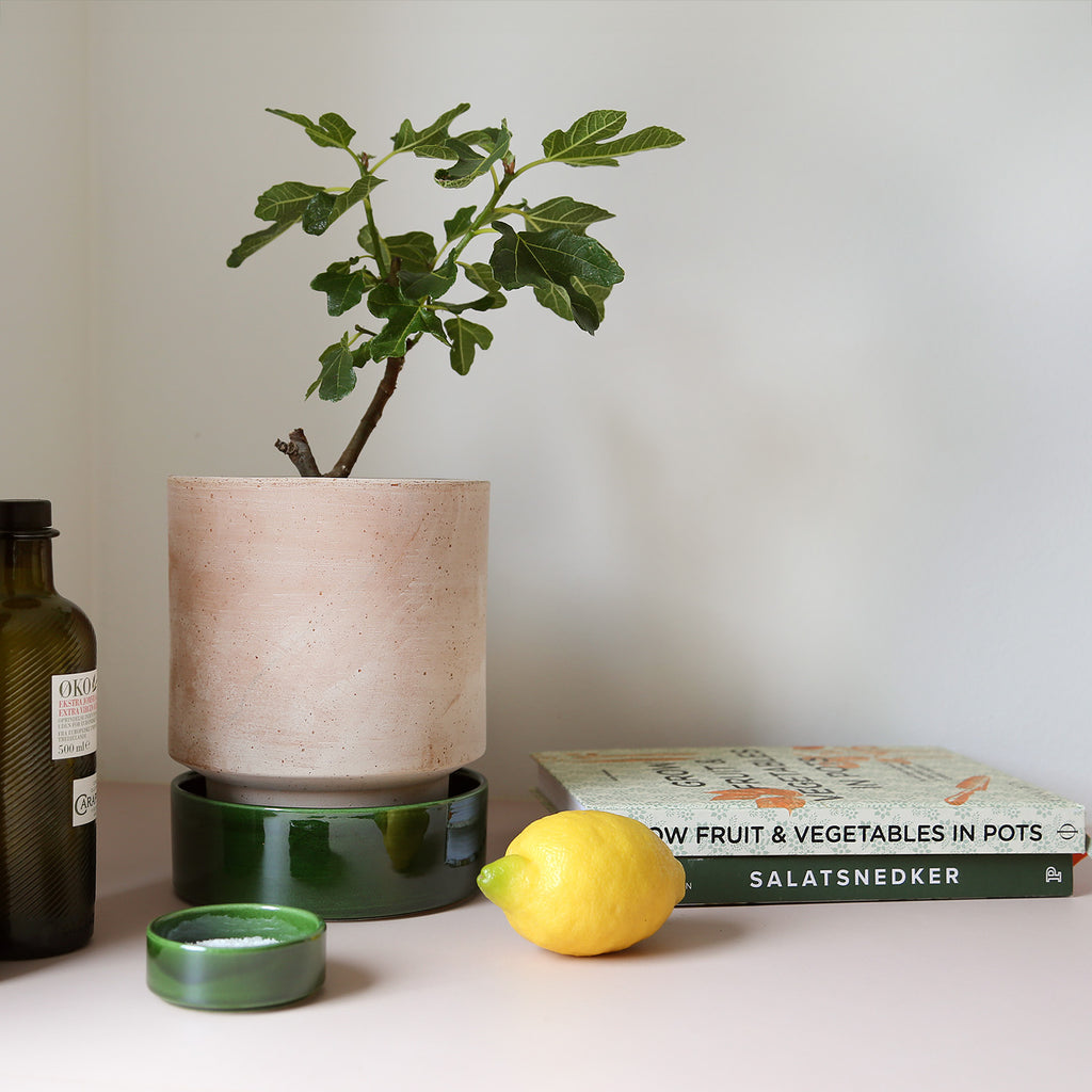 Goodee-Bergs Potter-Hoff Jardinière 18 - Couleur - Raw Rosa