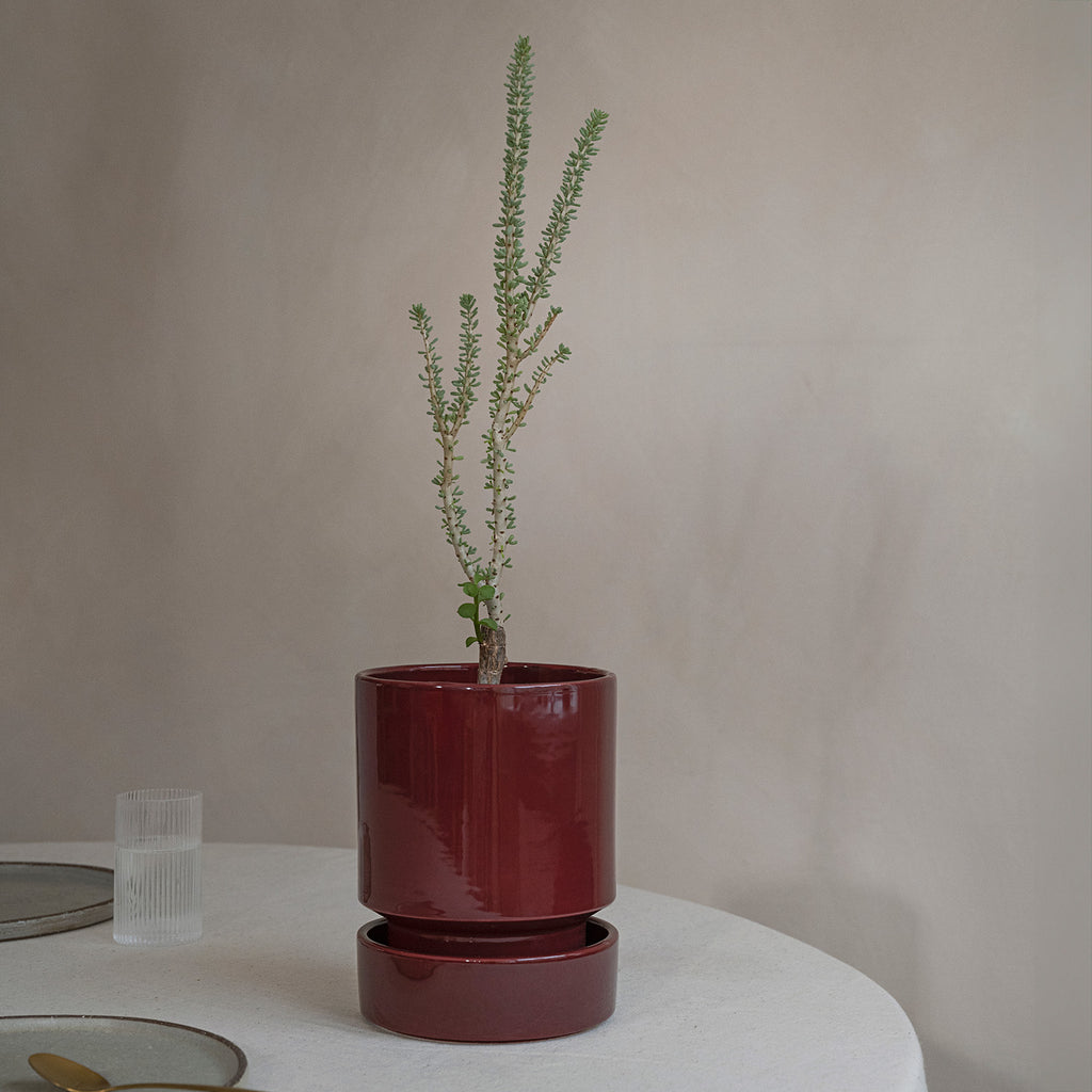 Goodee-Bergs Potter-Hoff Planter 14 - Color - Burgundy Glazed